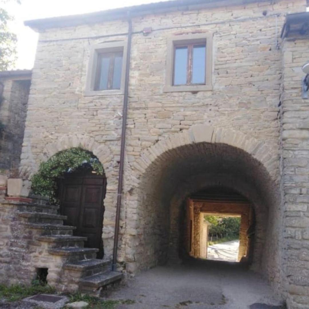 Antiqua