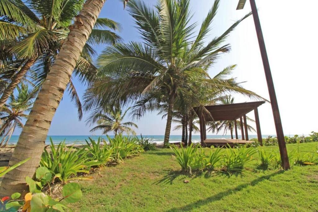 Direct View and Access to Beach! view 4