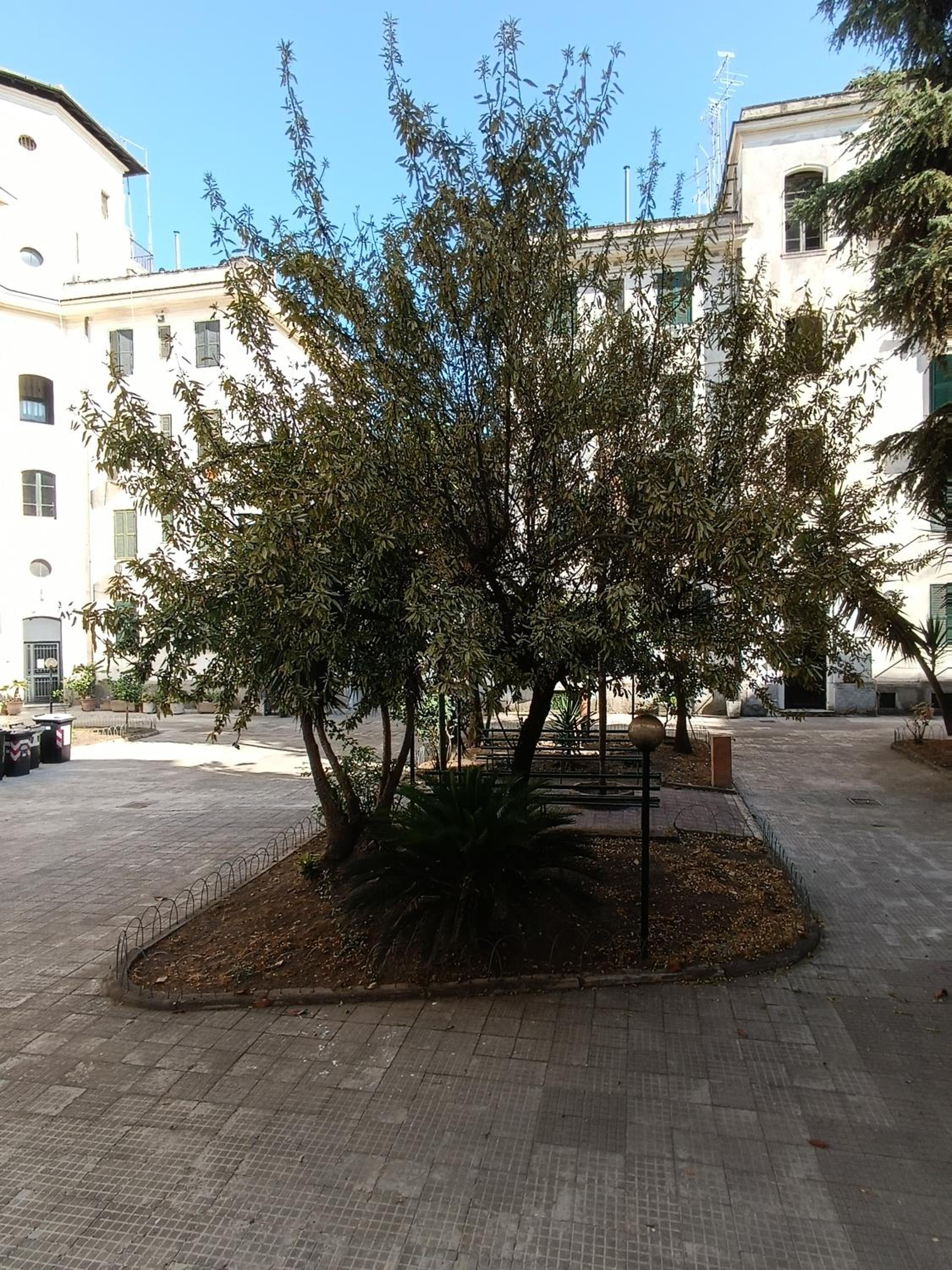 Testaccio Charme Apt