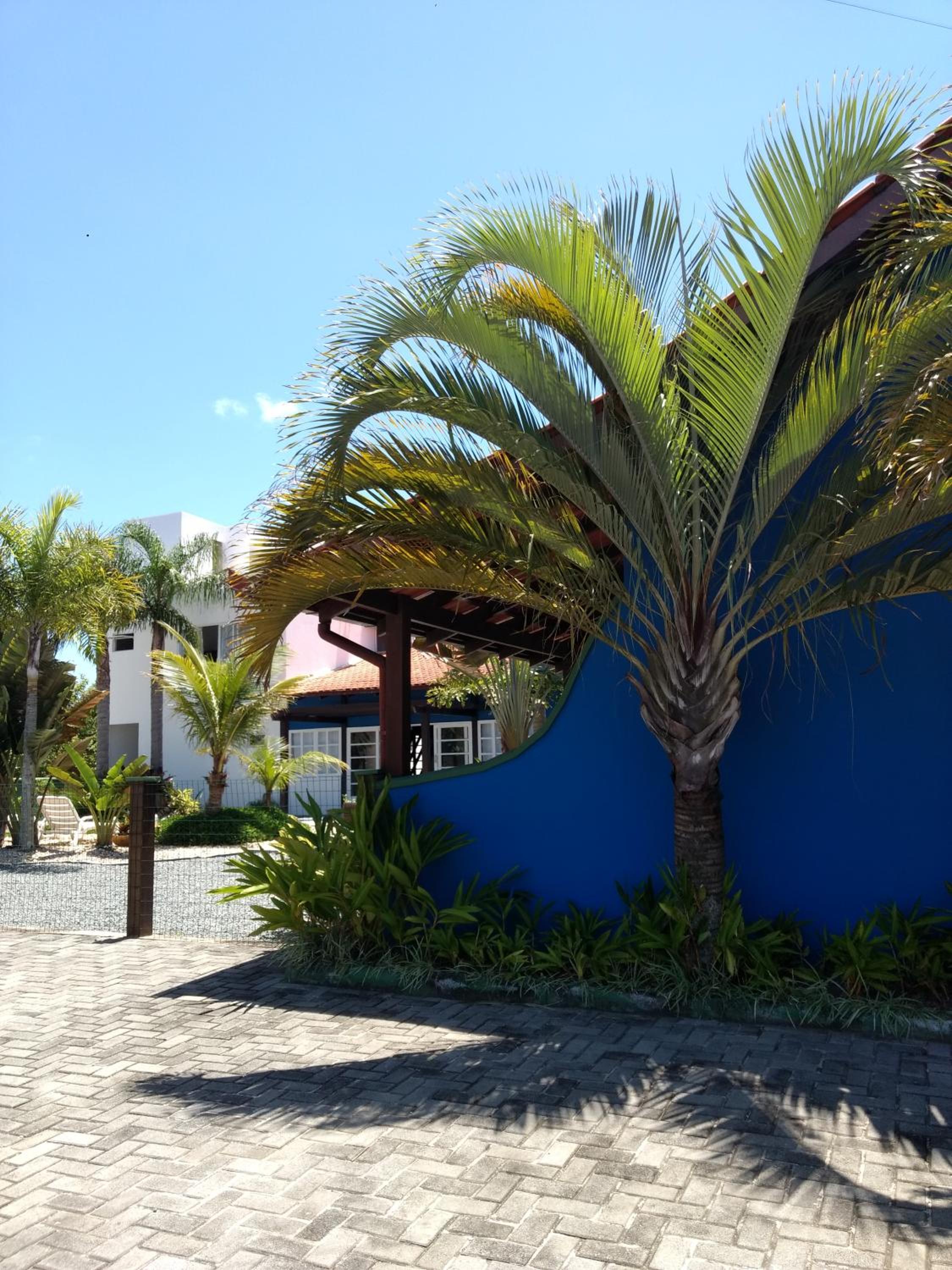 Apezinho em Itaguaçu