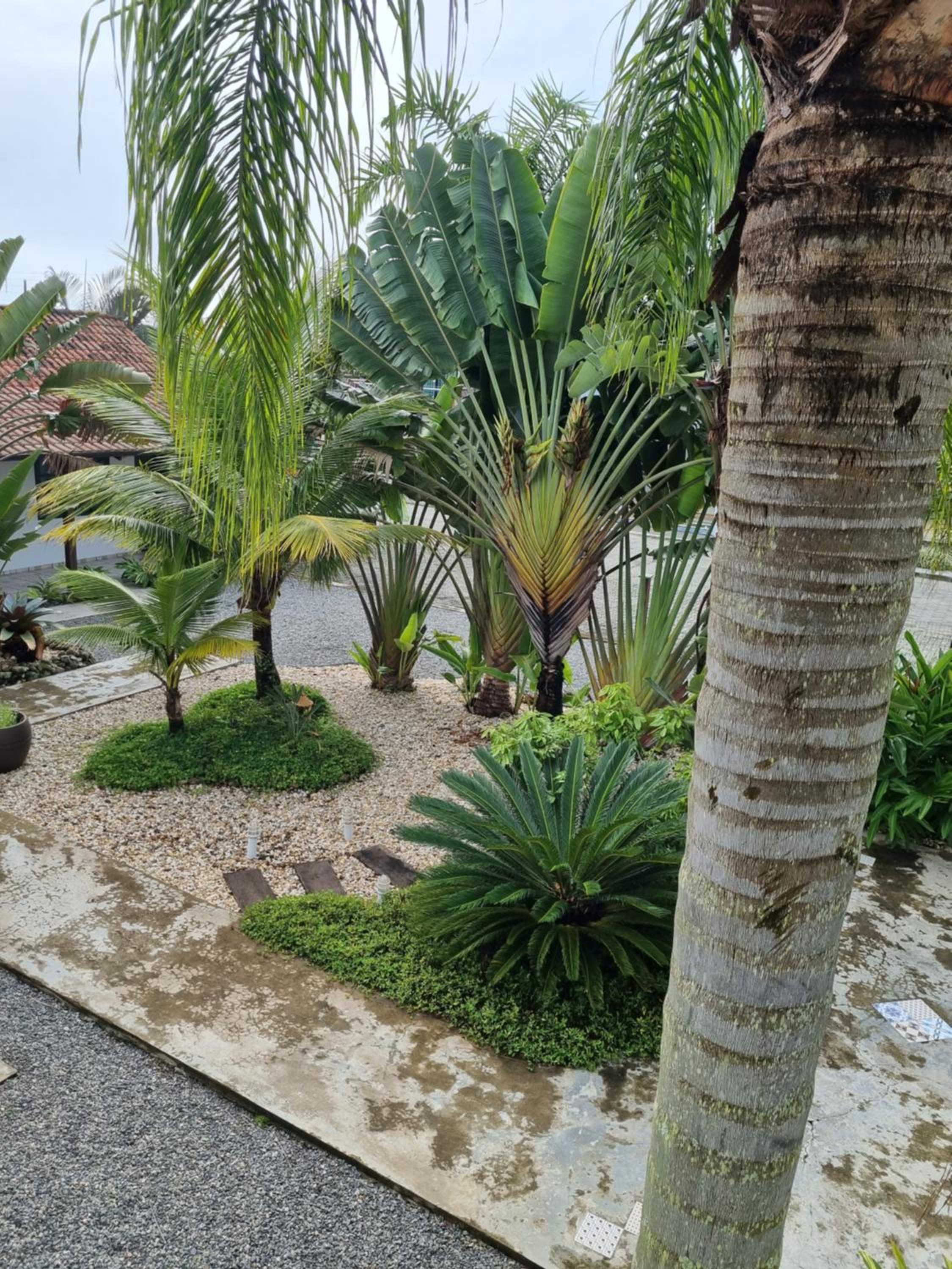 Apezinho em Itaguaçu