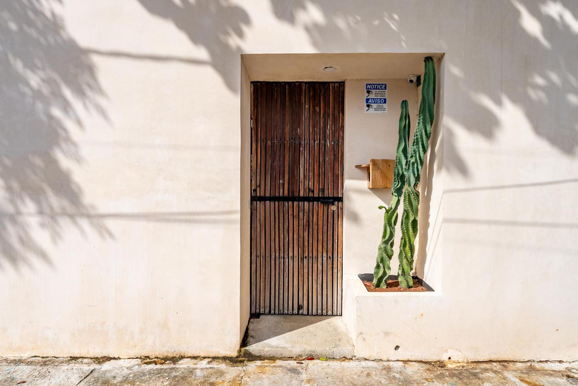 Casa Jicama