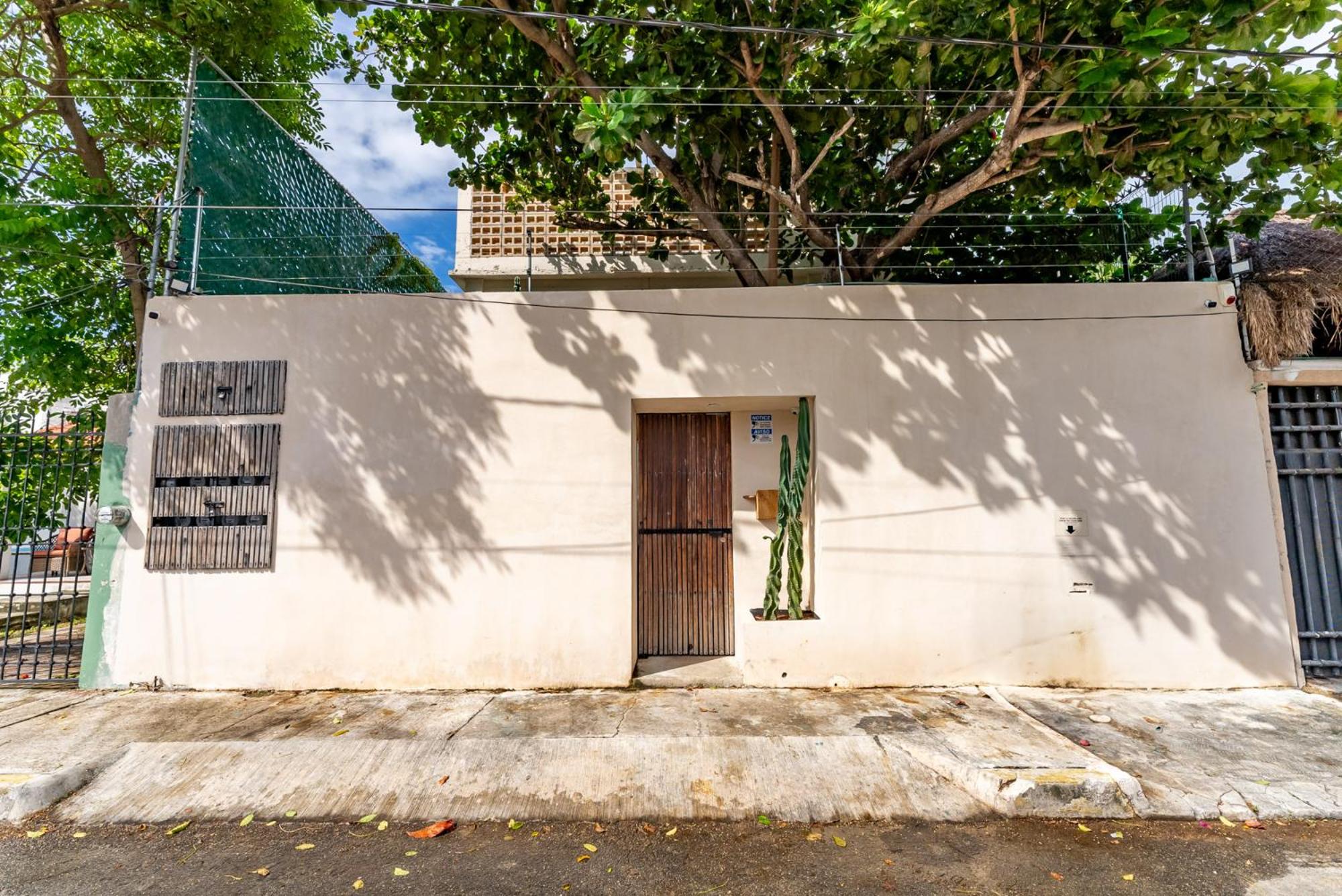 Casa Jicama