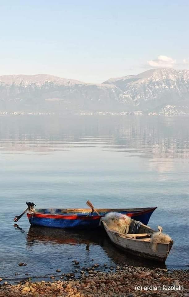 New Apartament photo 4