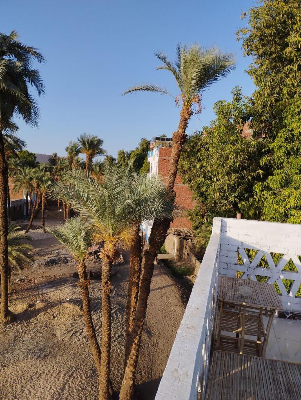Nubian Life Nile View