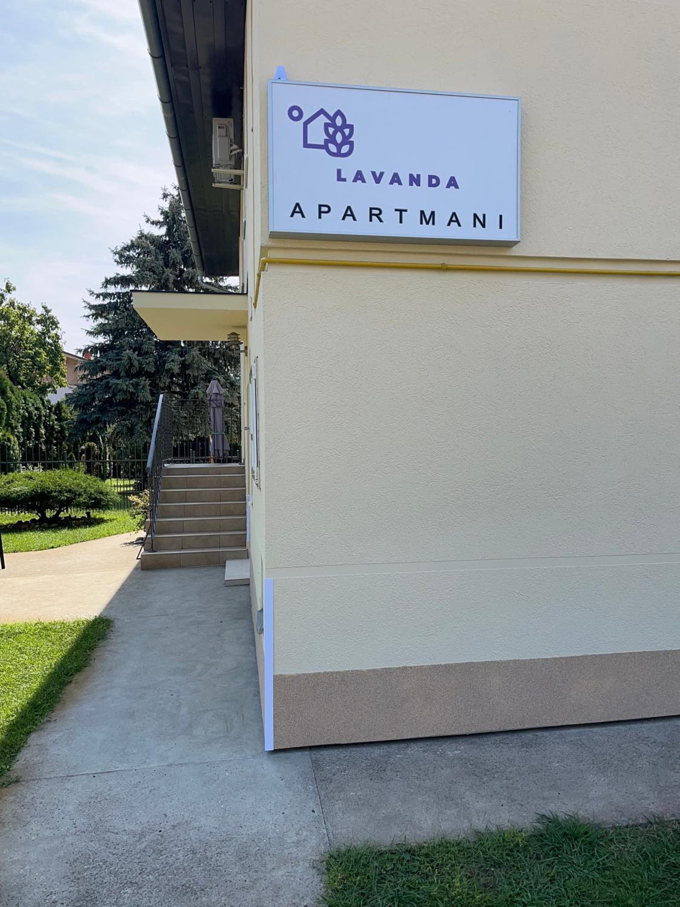 Lavanda