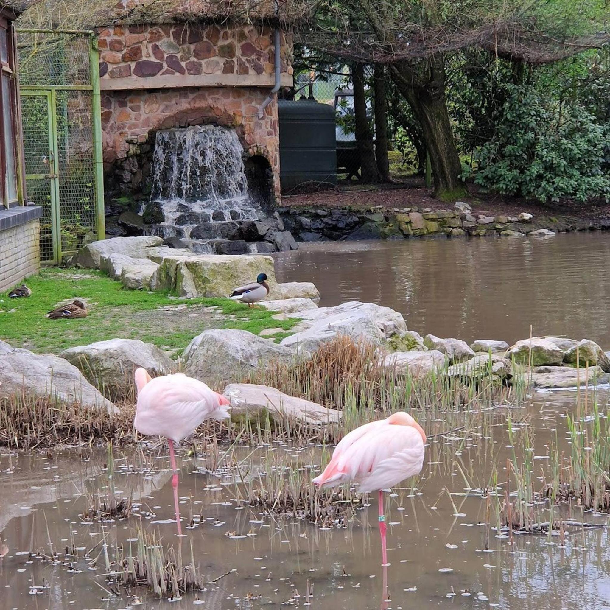 Tranquil Retreat in Hamoir, Belgium - Perfect for Families Friends