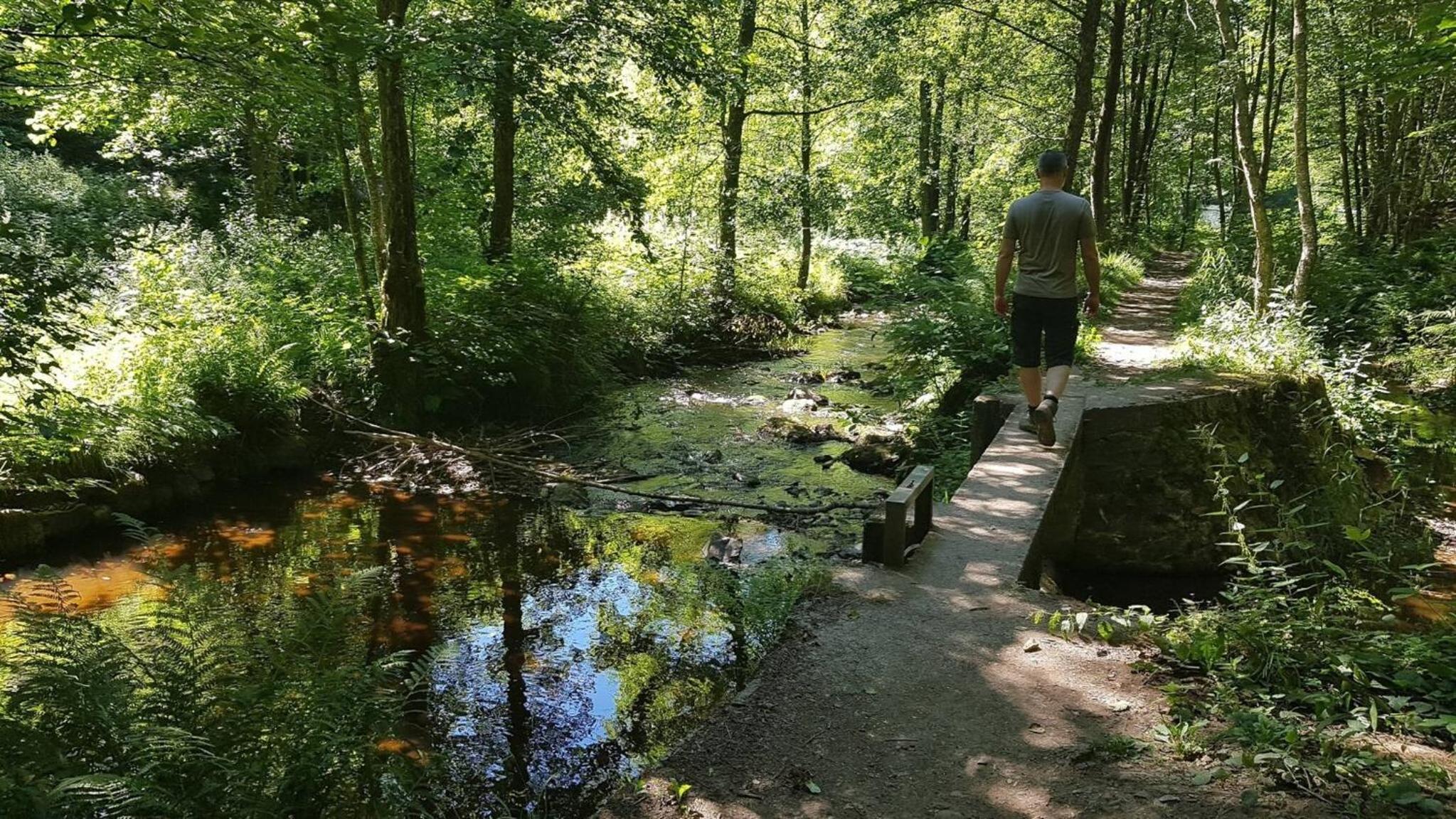 Tranquil Retreat in Hamoir, Belgium - Perfect for Families Friends