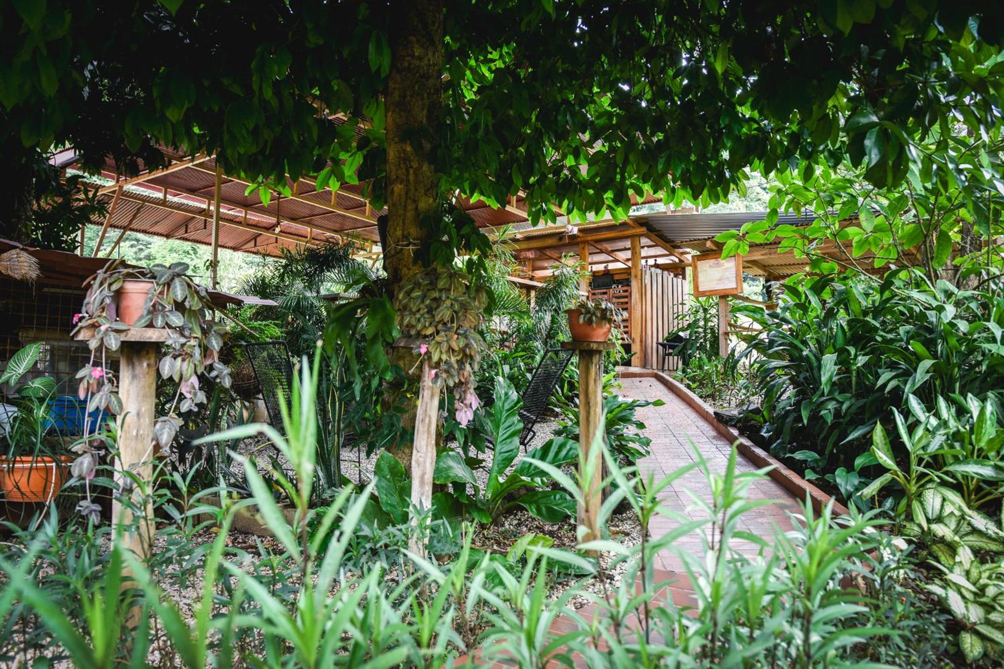 Casa Cora Bed and Breakfast