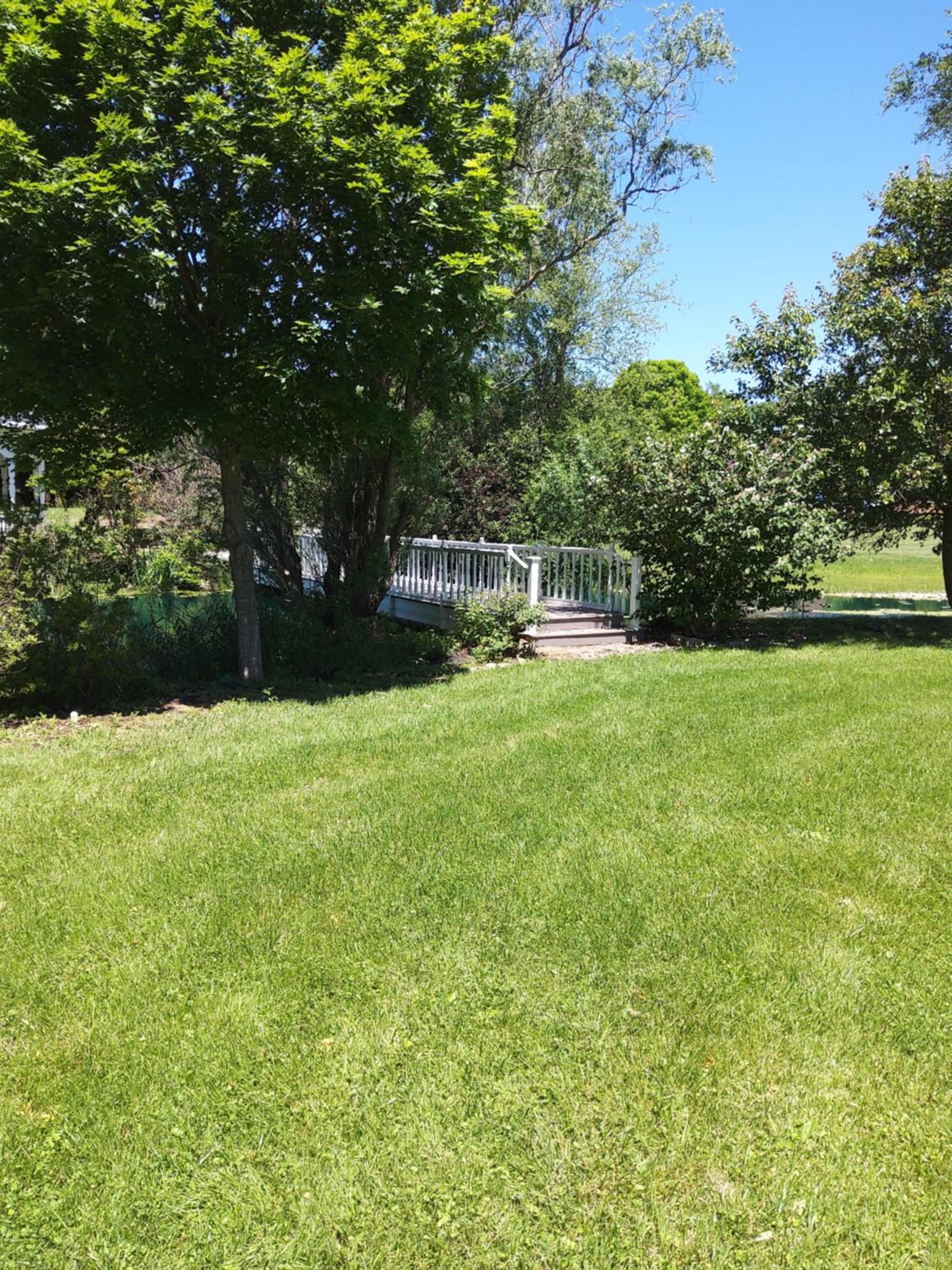Photo 51