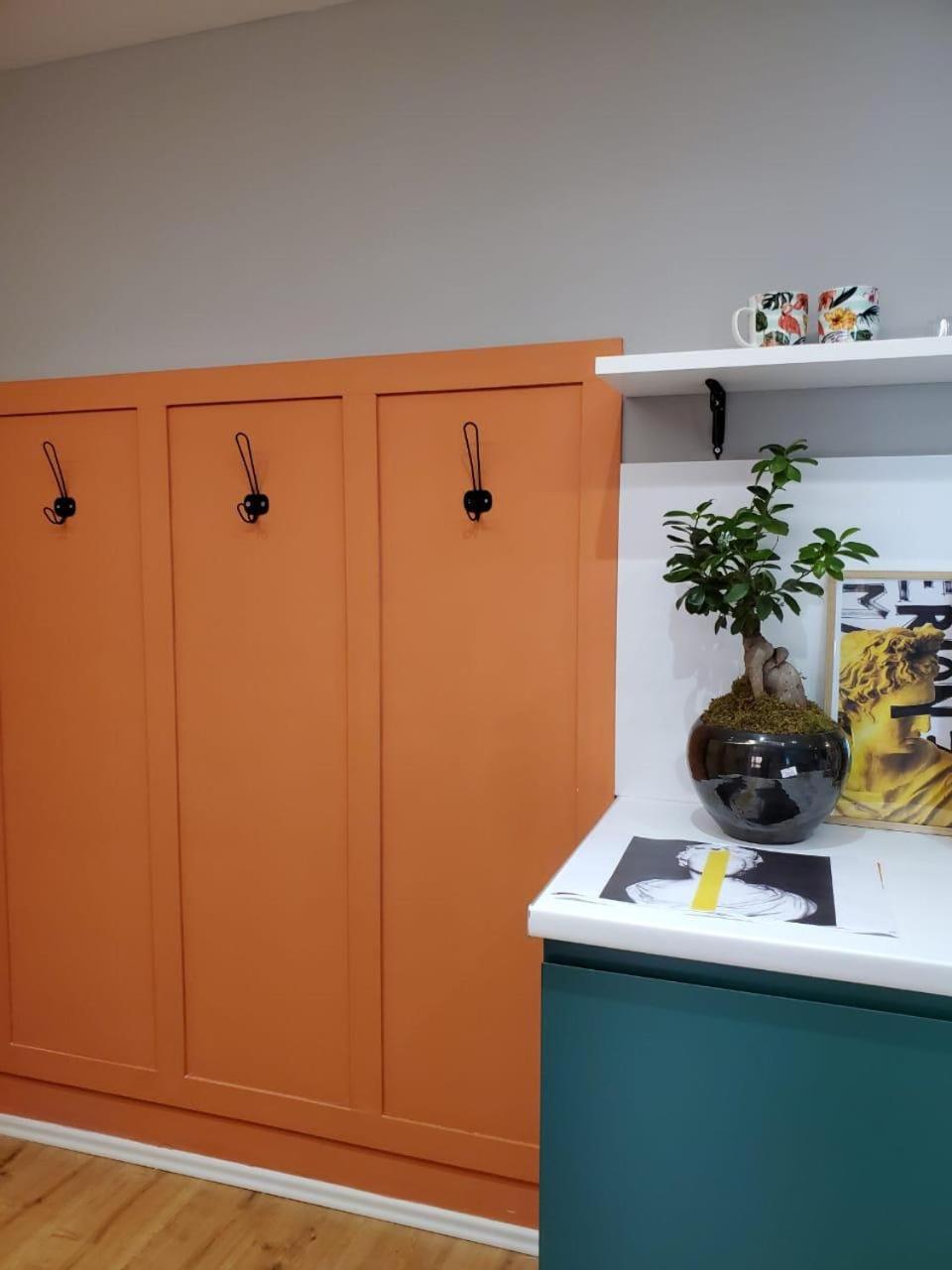 Deluxe 1 Apartment