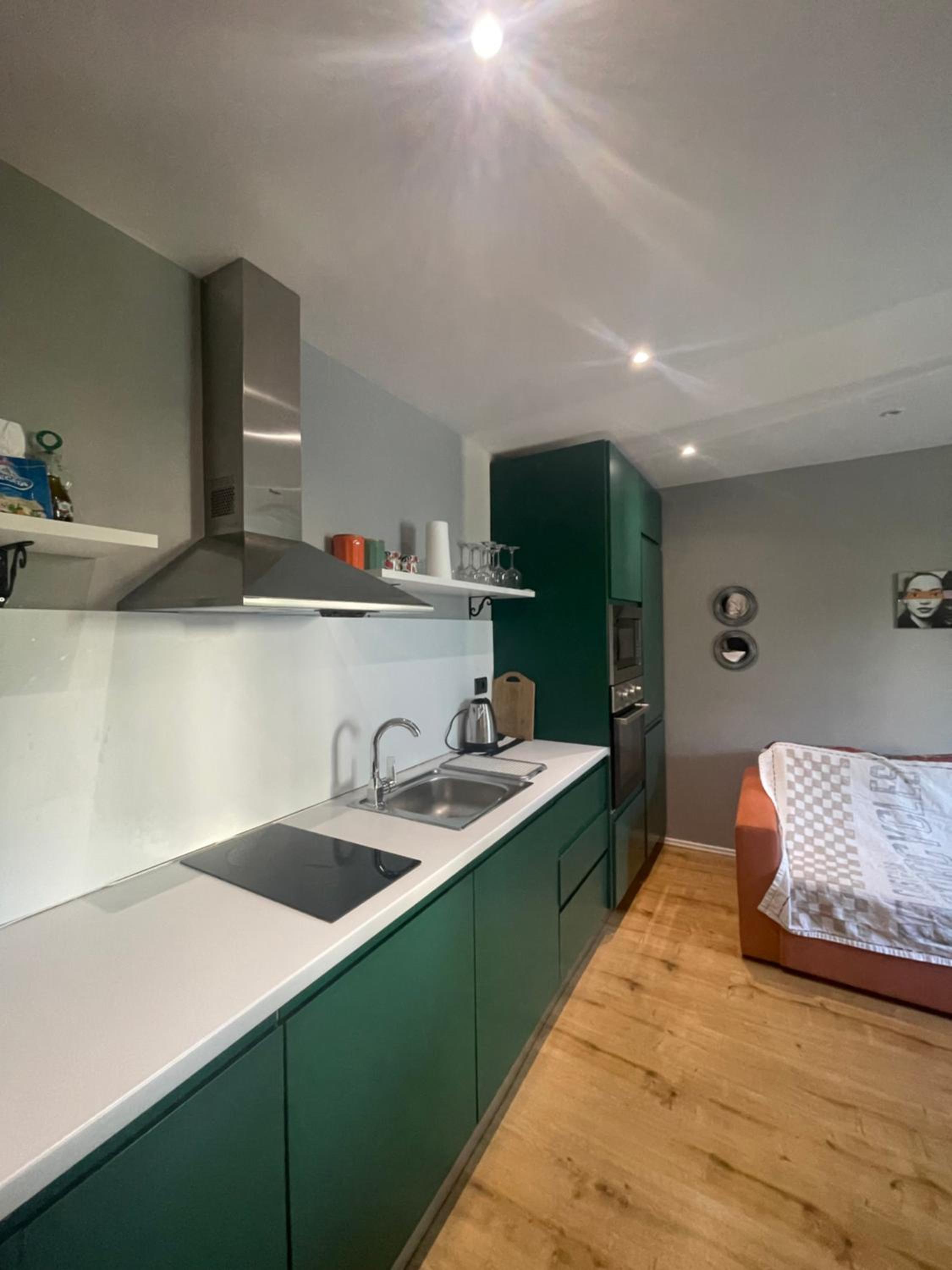 Deluxe 1 Apartment
