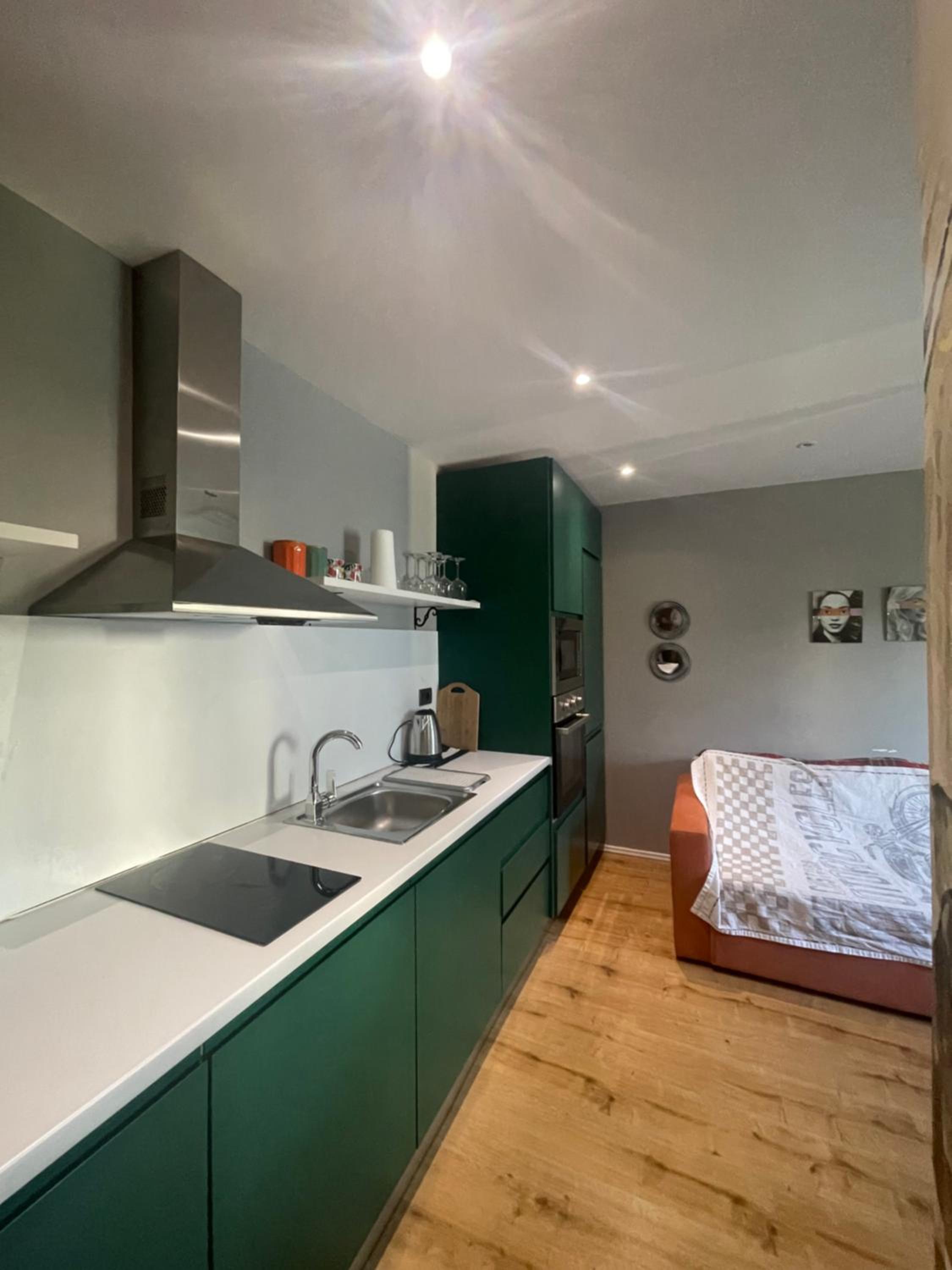 Deluxe 1 Apartment