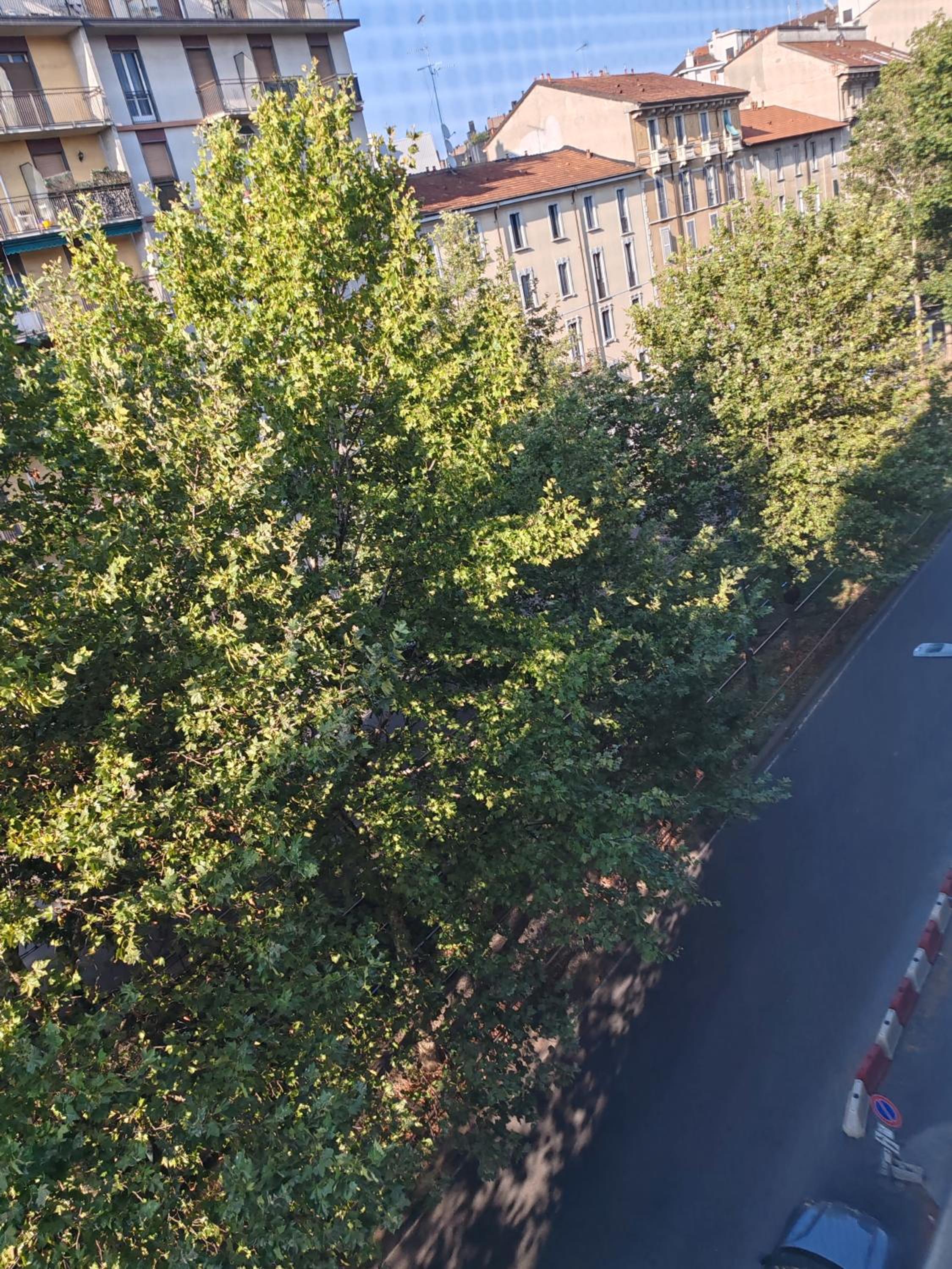 La casa di Cris - Milano, appartamento zona Sempione