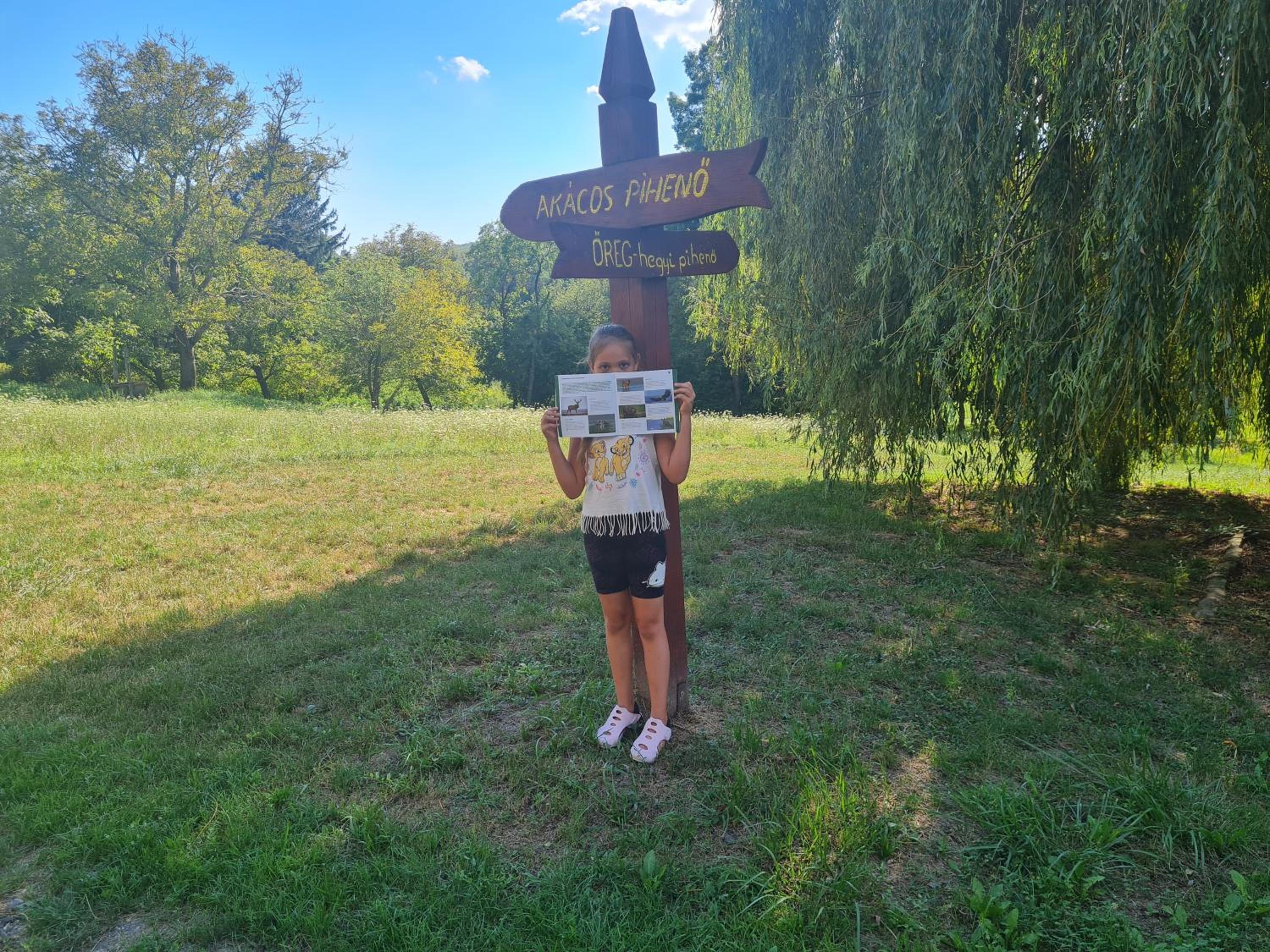 Photo 42
