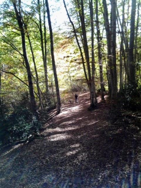 Paso del Onso
