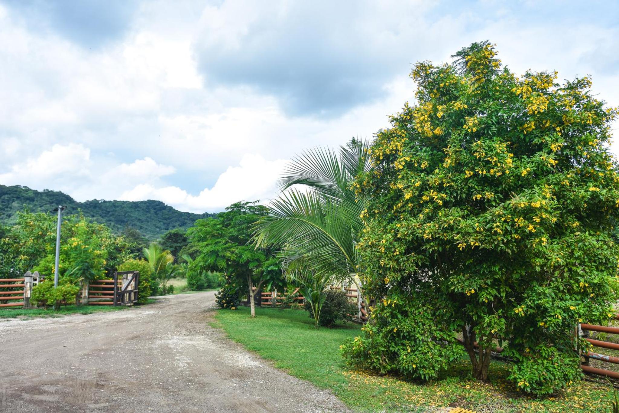 Casa Cora Bed and Breakfast