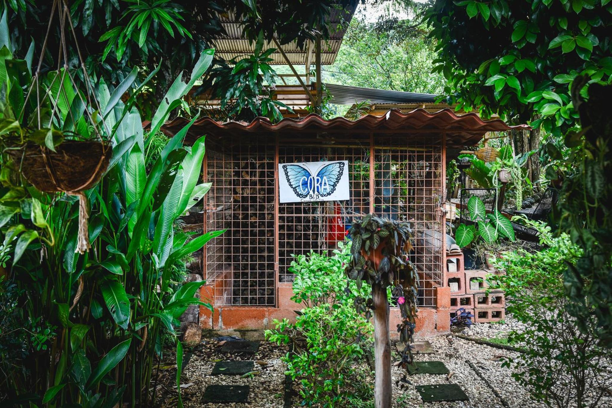 Casa Cora Bed and Breakfast