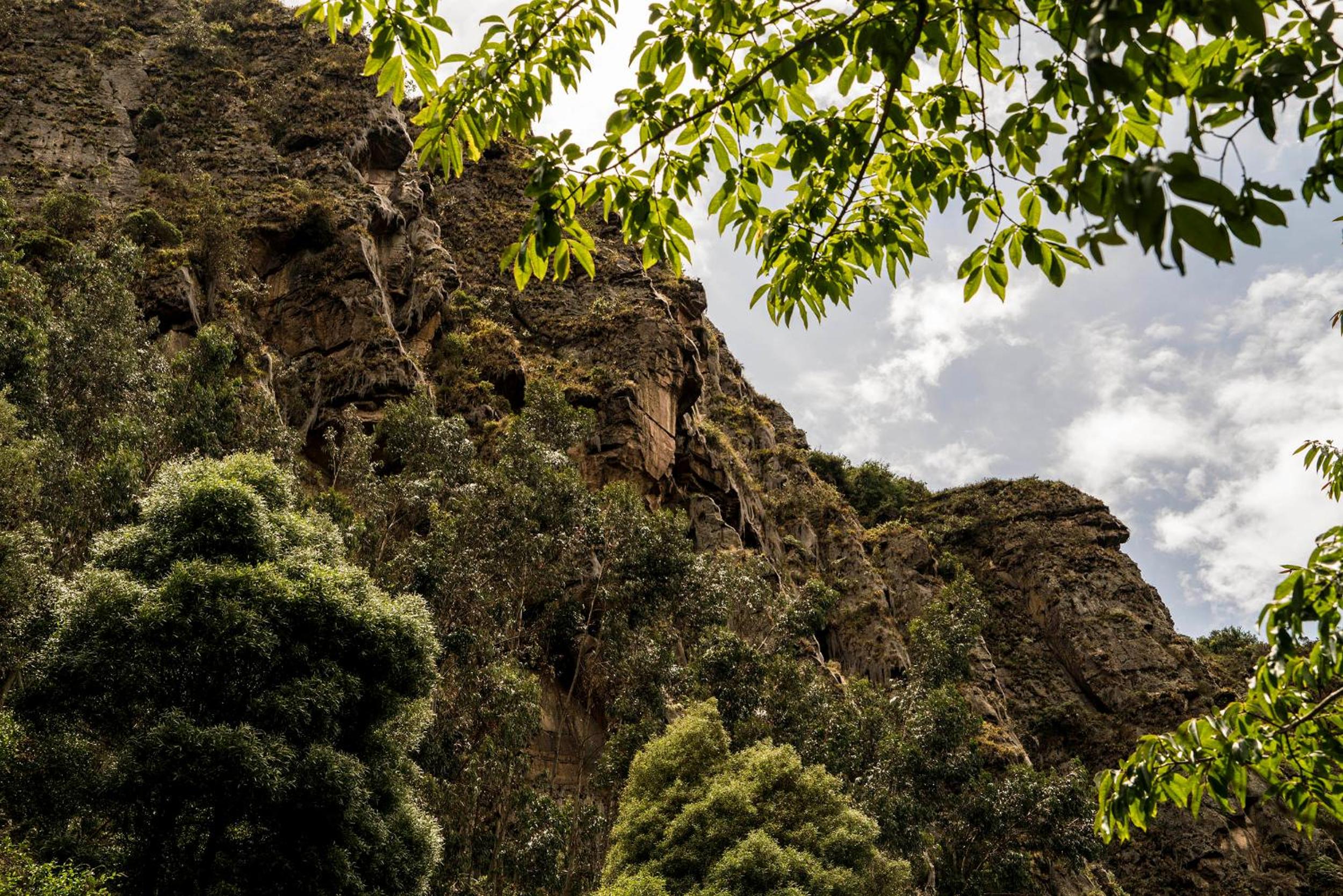Cabaña El Turpial