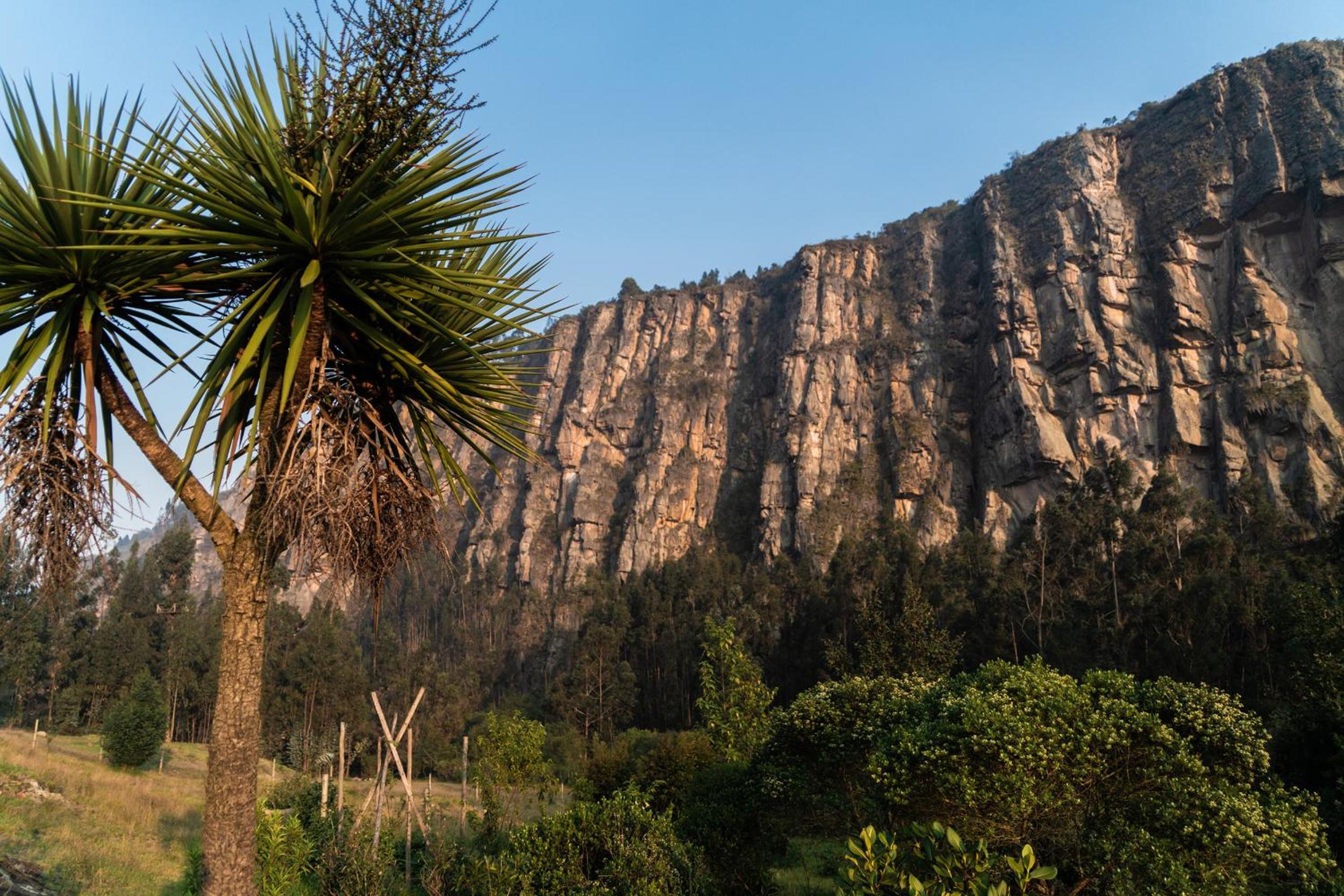 Cabaña El Turpial