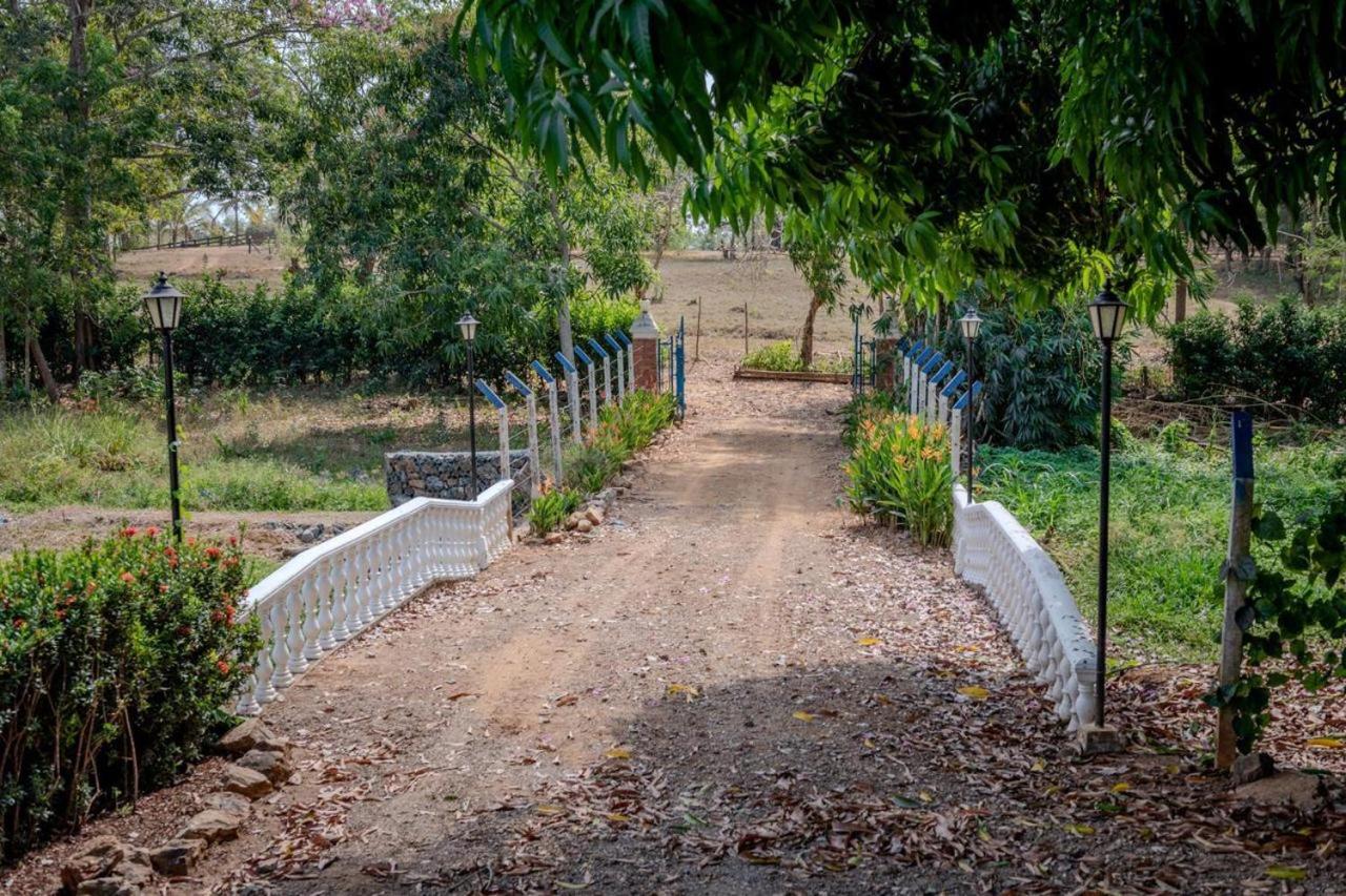 Casa Finca Los Girasoles