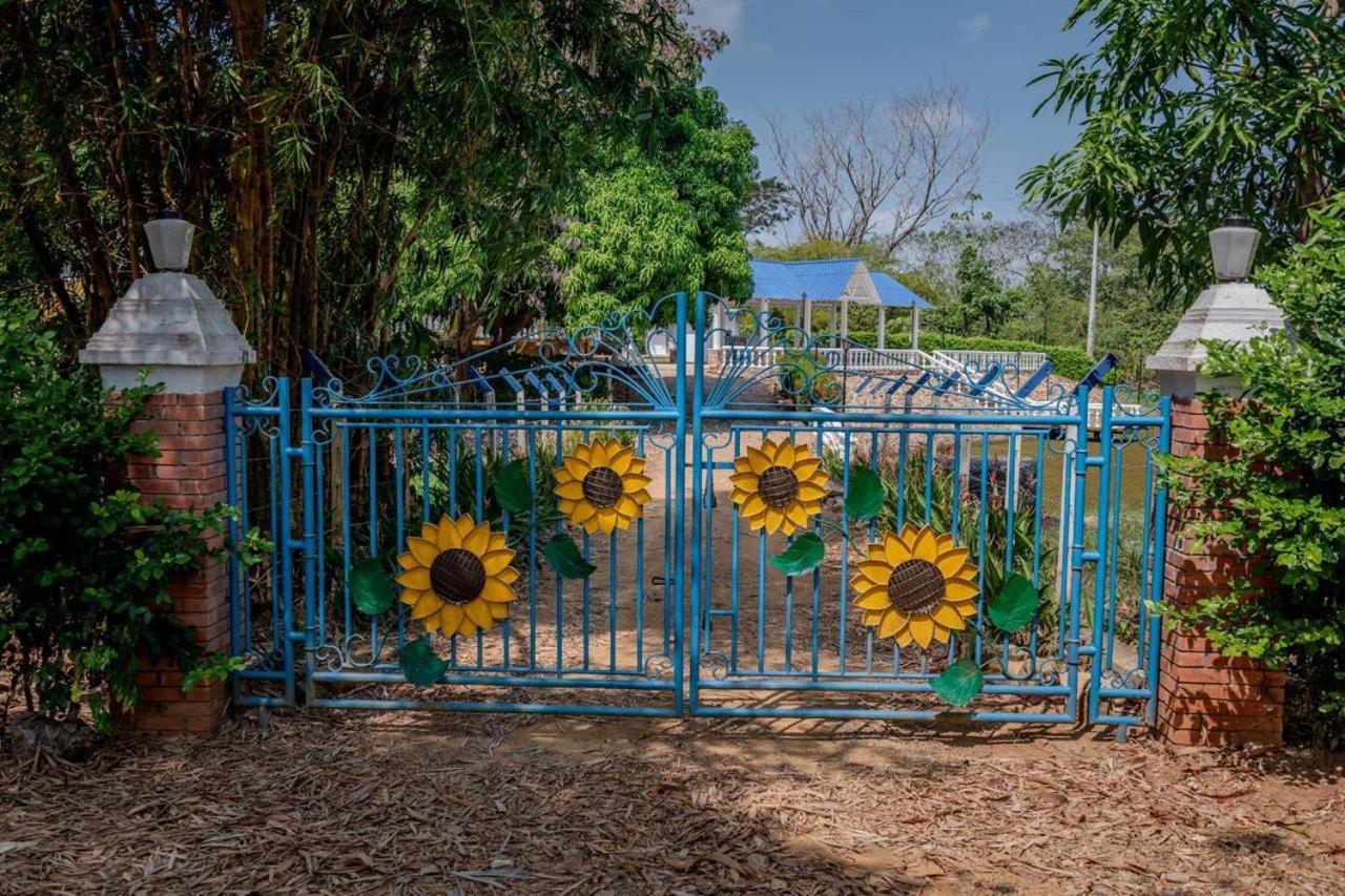Casa Finca Los Girasoles