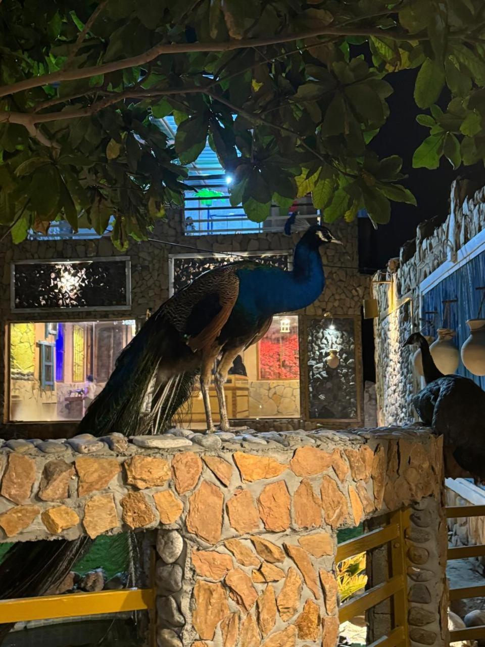 Fanja Heritage House