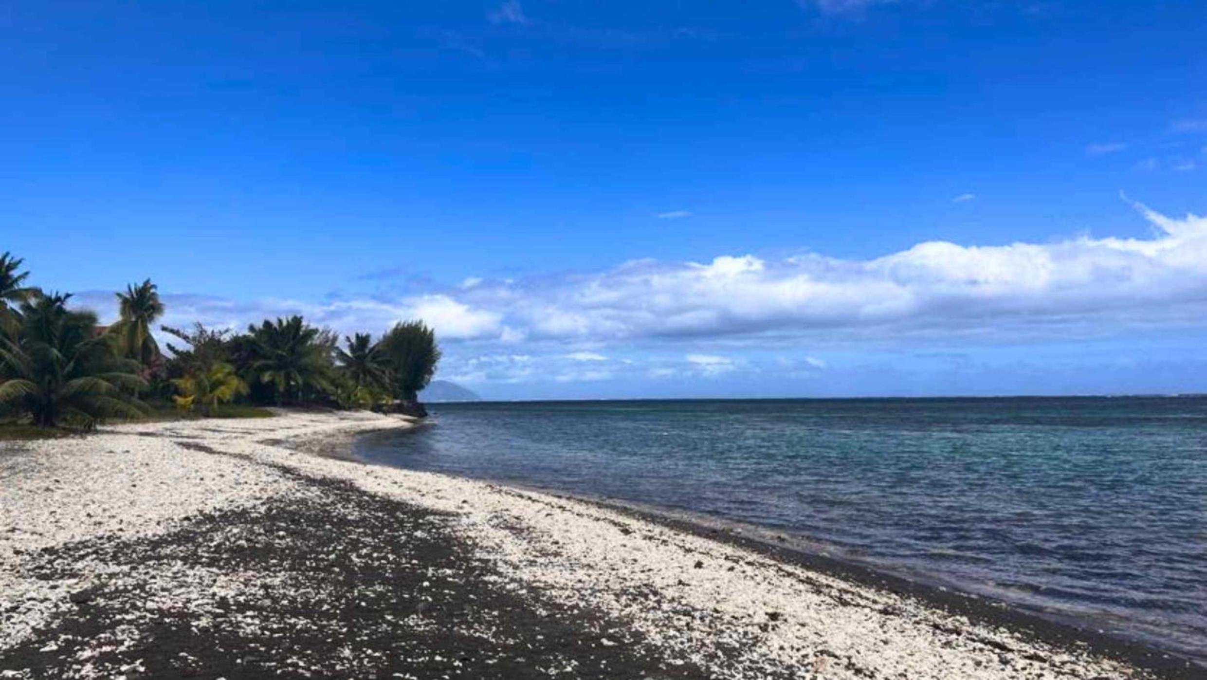 TAHITI - Bungalow Arii view 3