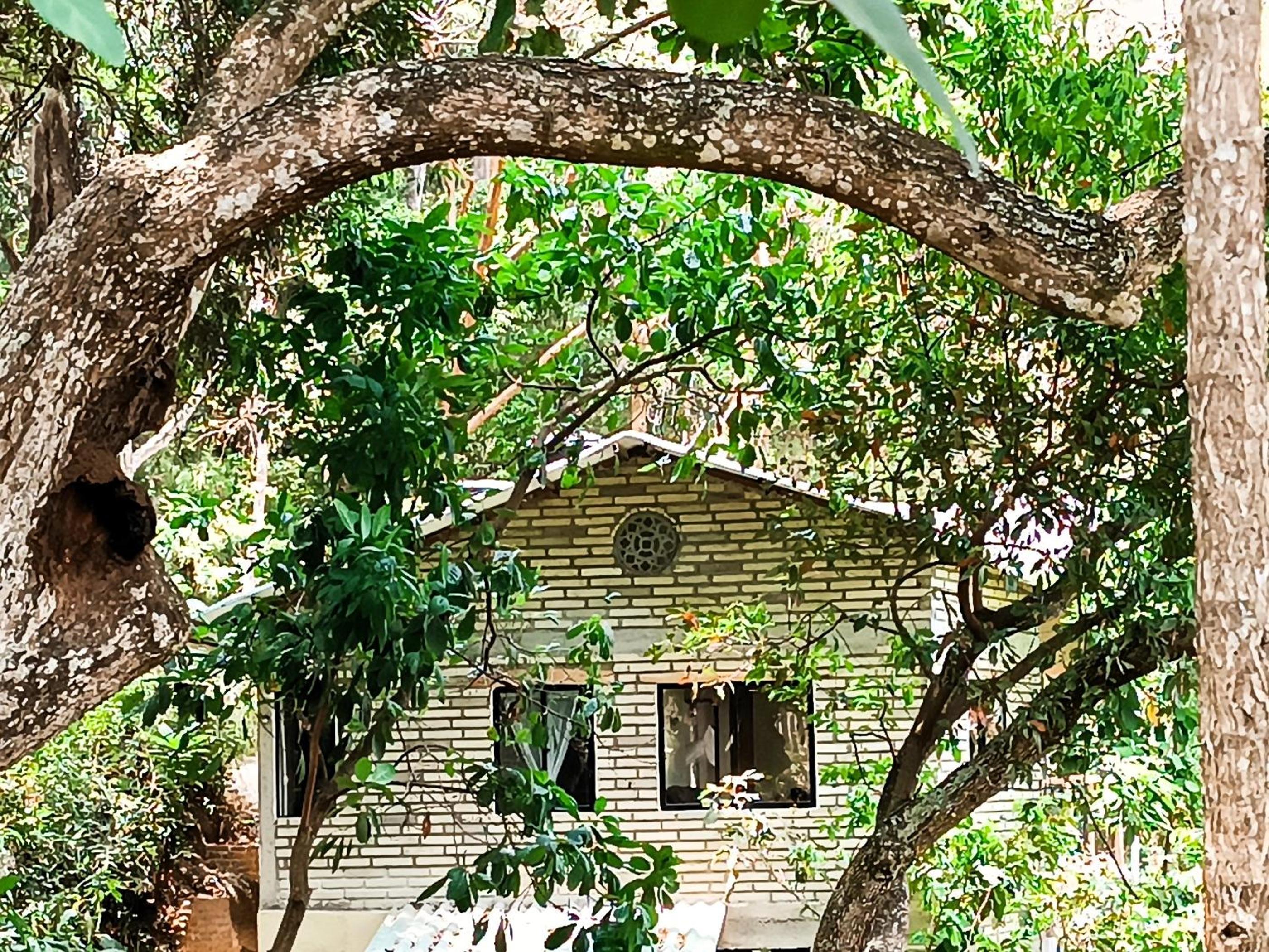 Edén Los Abuelos 2 - Casa Privada en Minca Nature