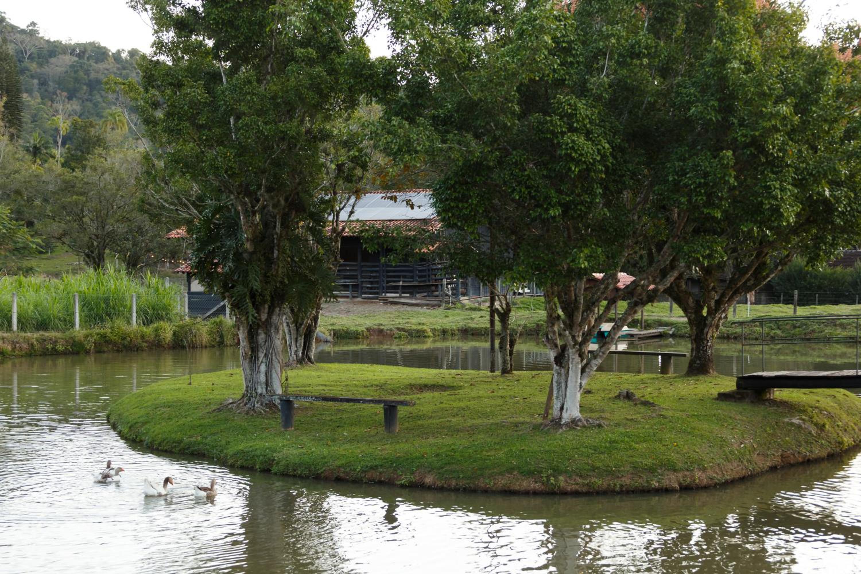 Sítio Quinta do sossego