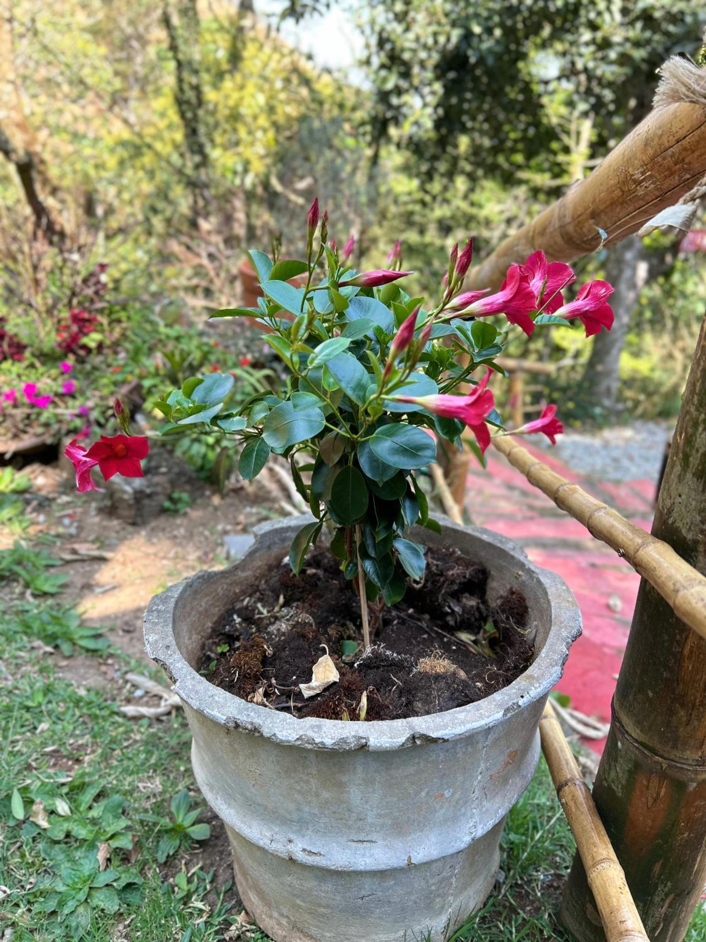 Casa de Montanha em Campos do Jordão