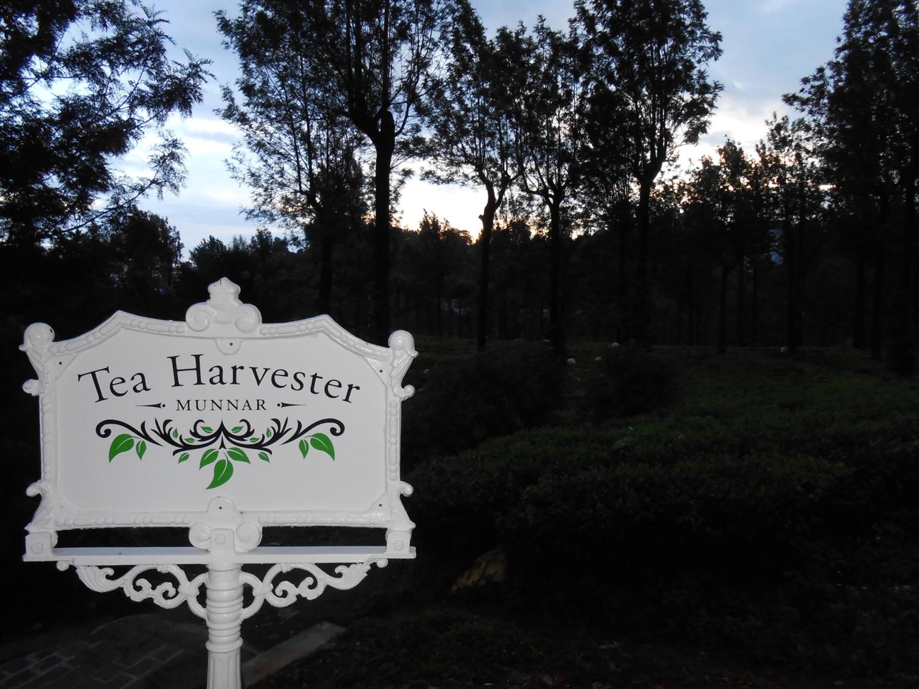 Tea Harvester