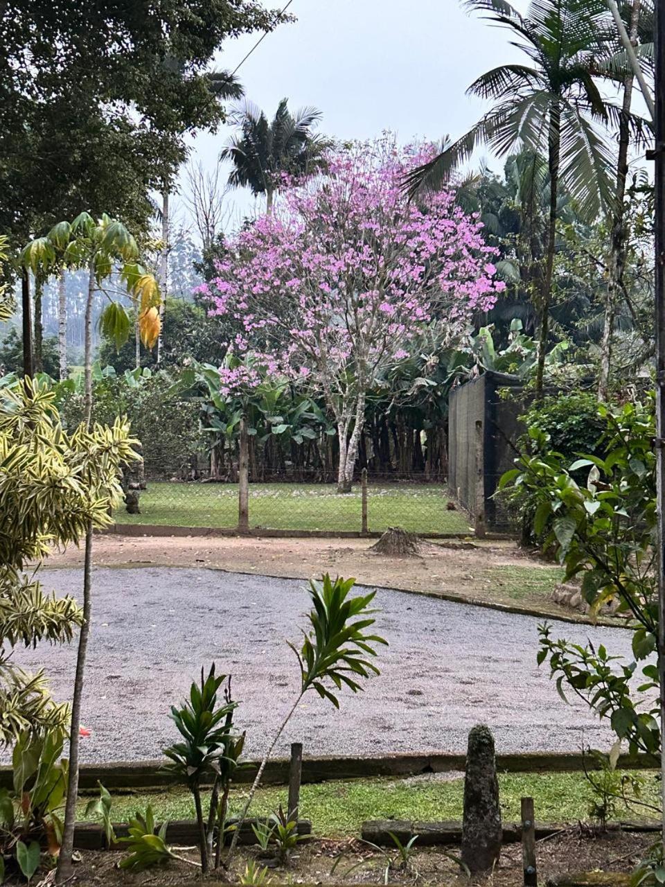 Sítio Quinta do sossego