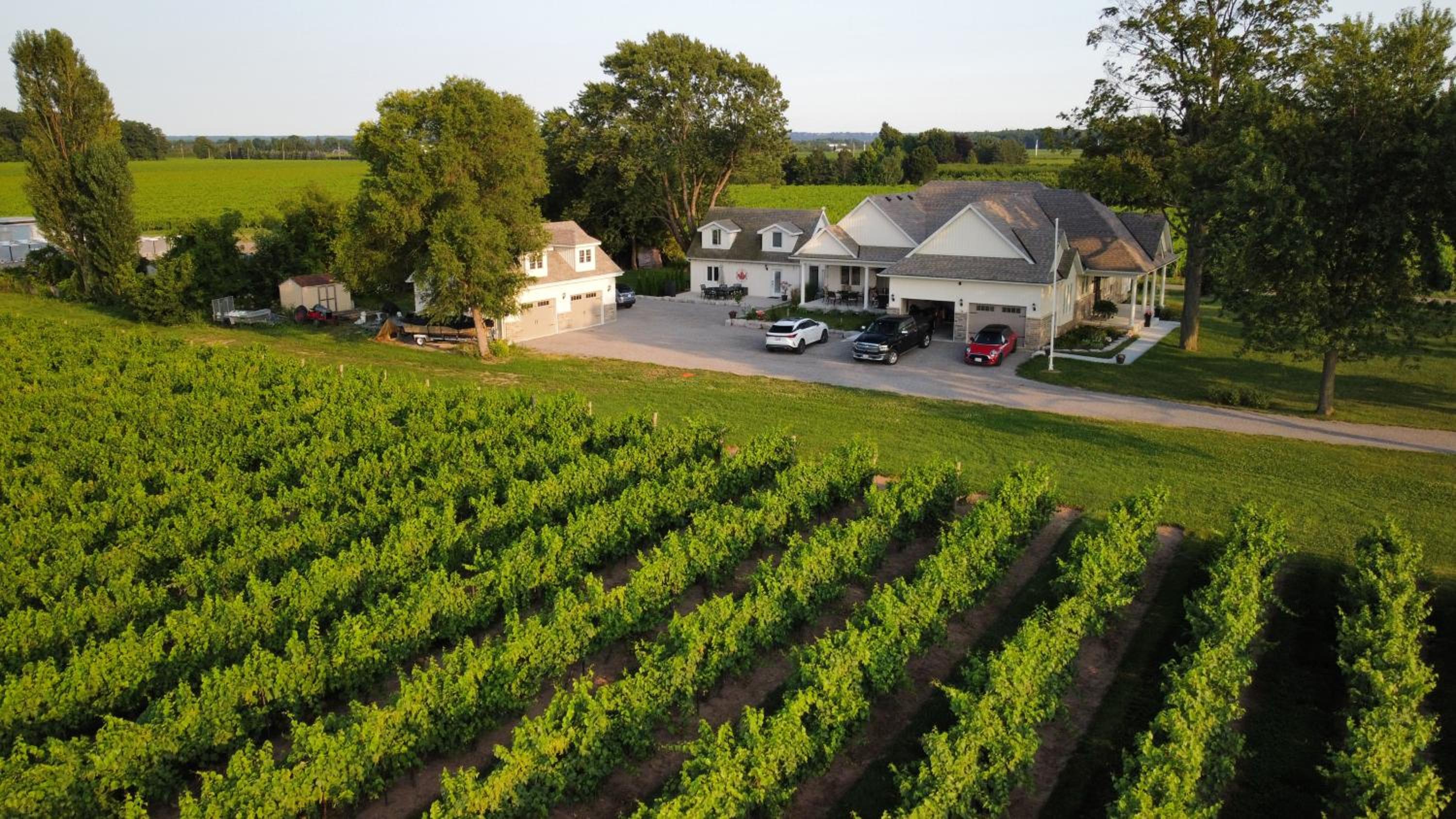 Villa in the Vines - Property Image 2