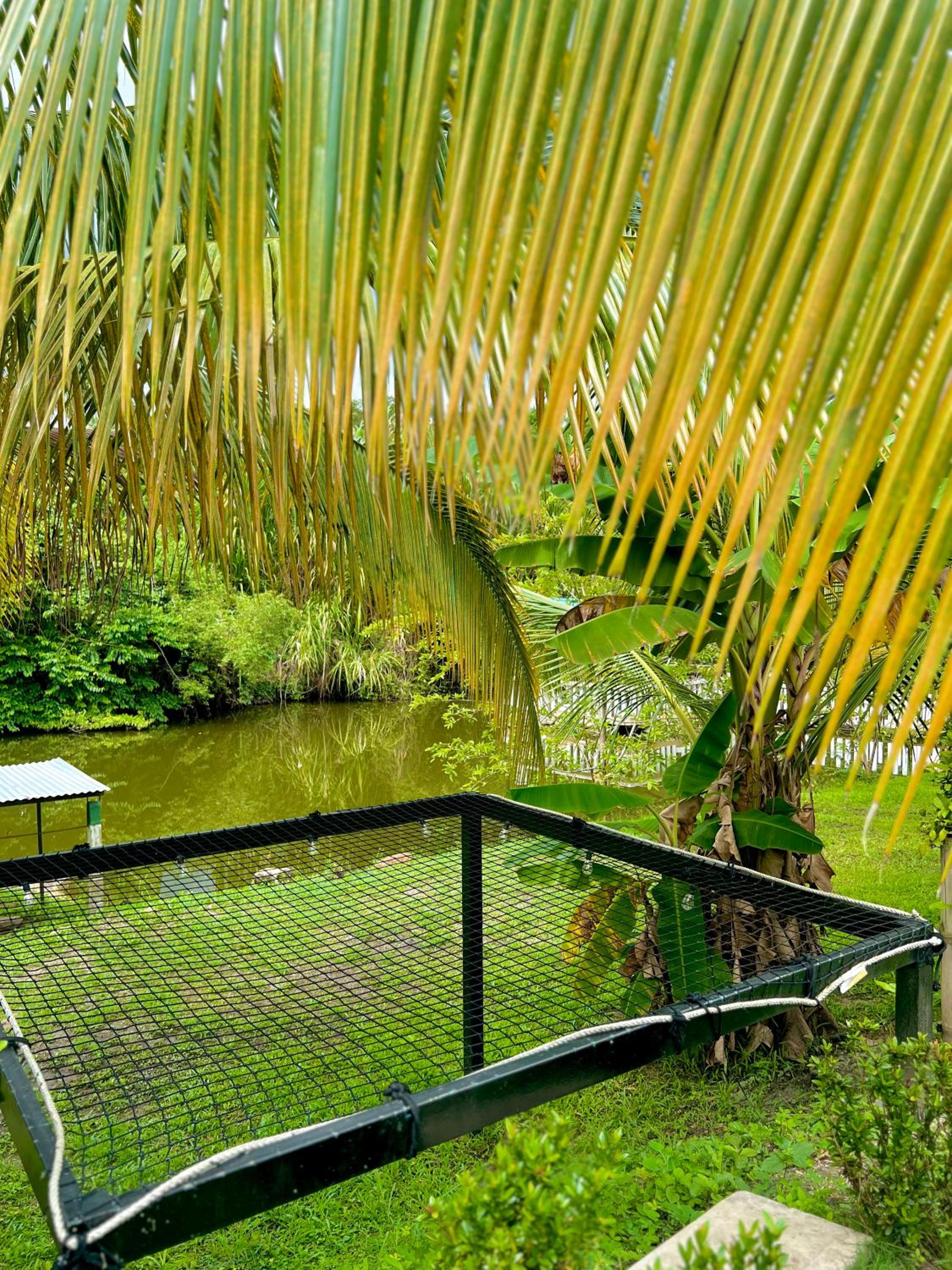 Mulata Ecohabs