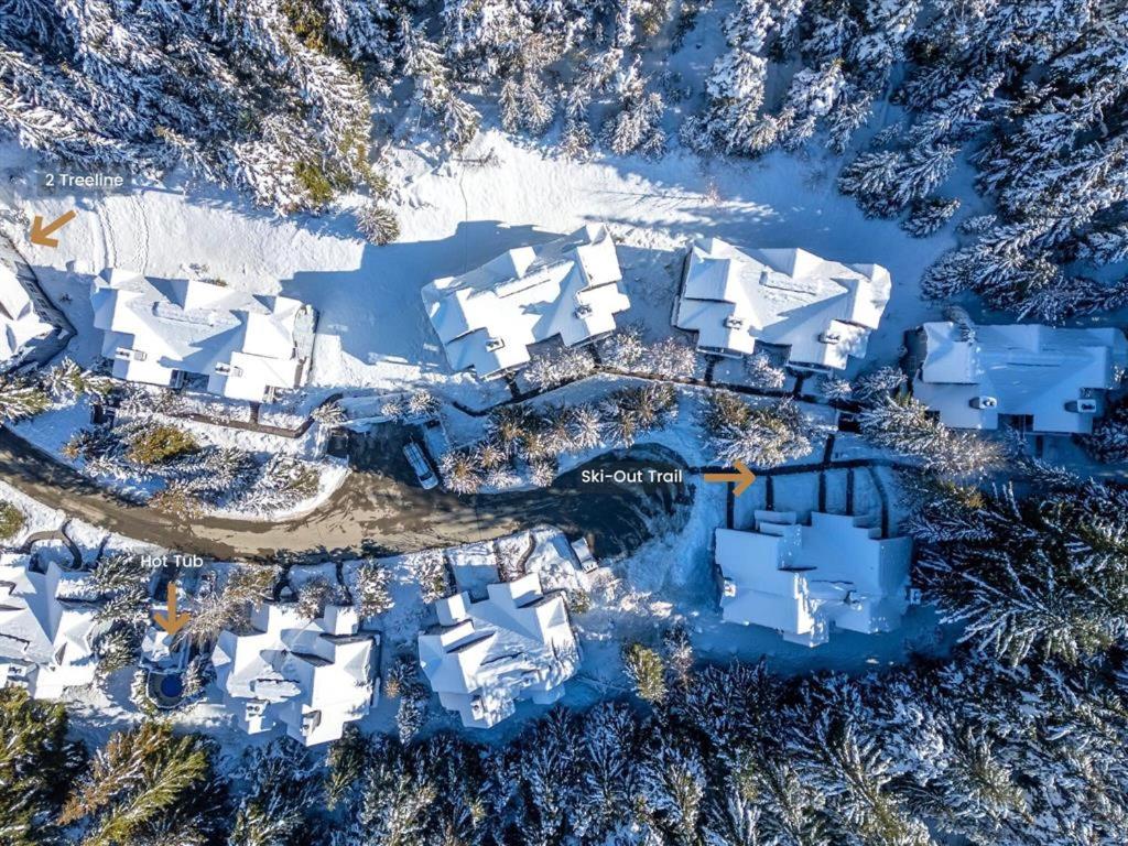 Treeline by Outpost Whistler
