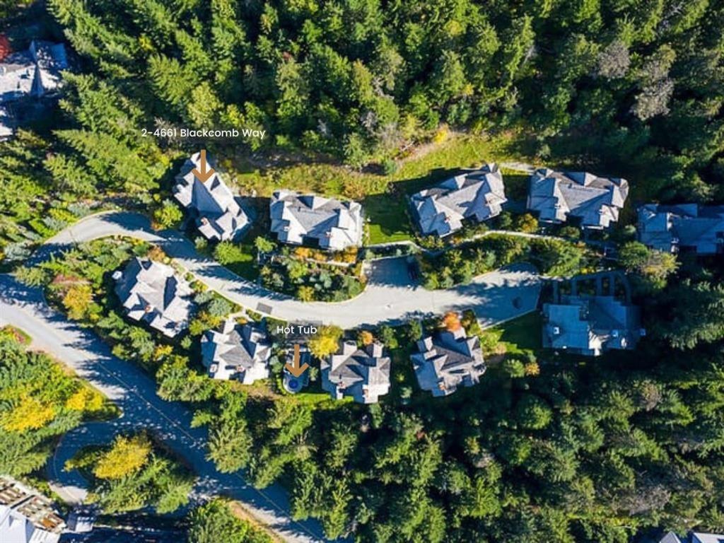 Treeline by Outpost Whistler
