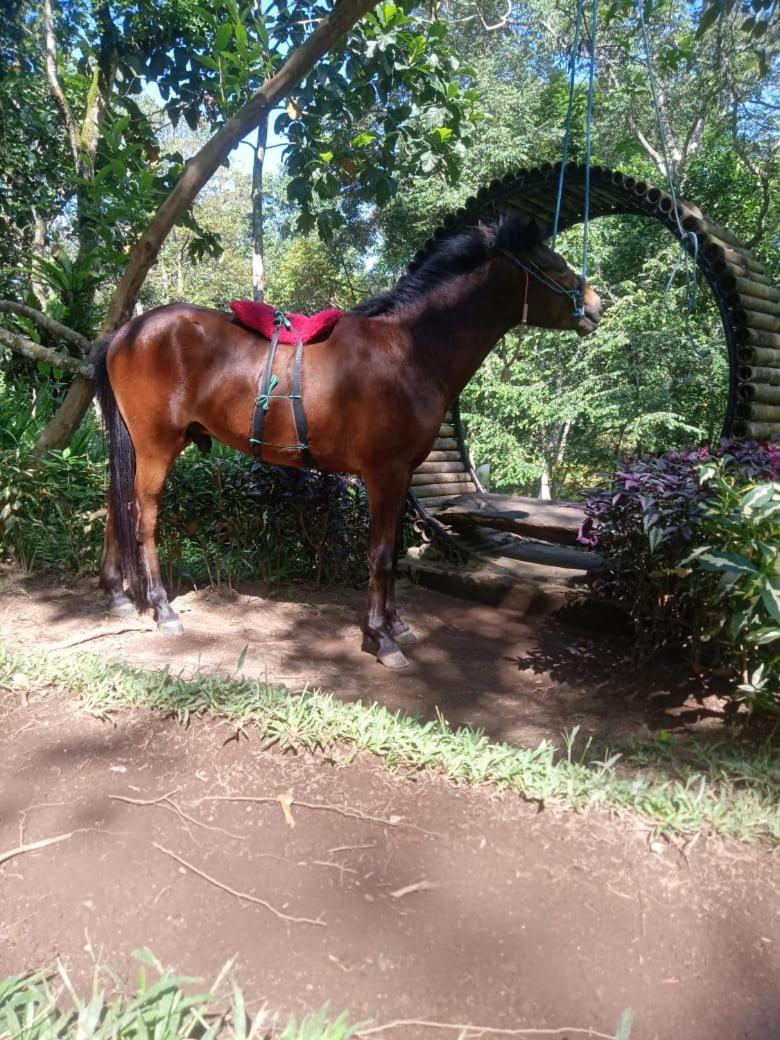 Joben Ecolodge
