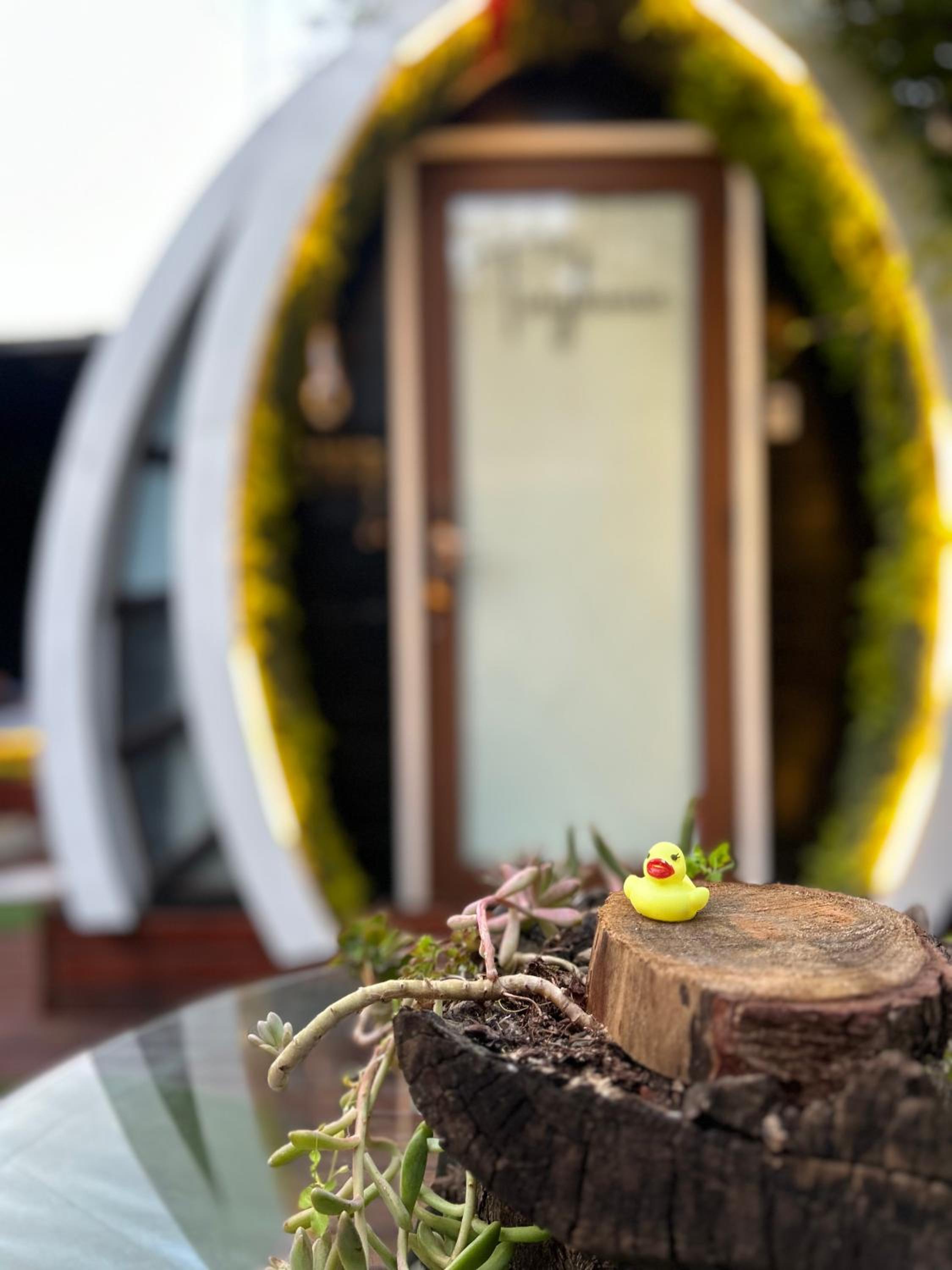 Beehouse TinyGreen Jacuzzi Opcional