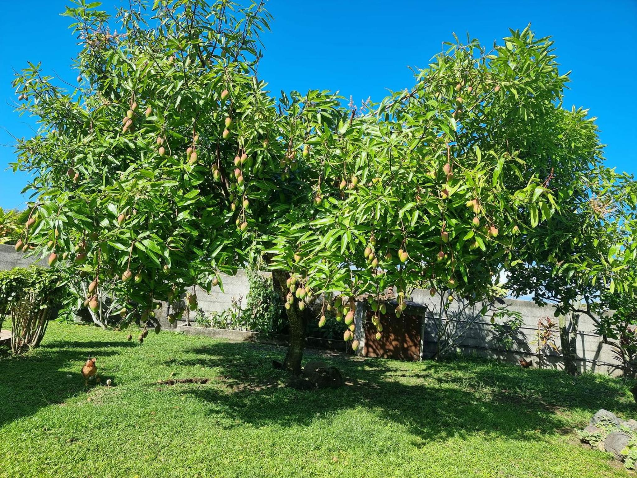 Moemoea Nui Villa