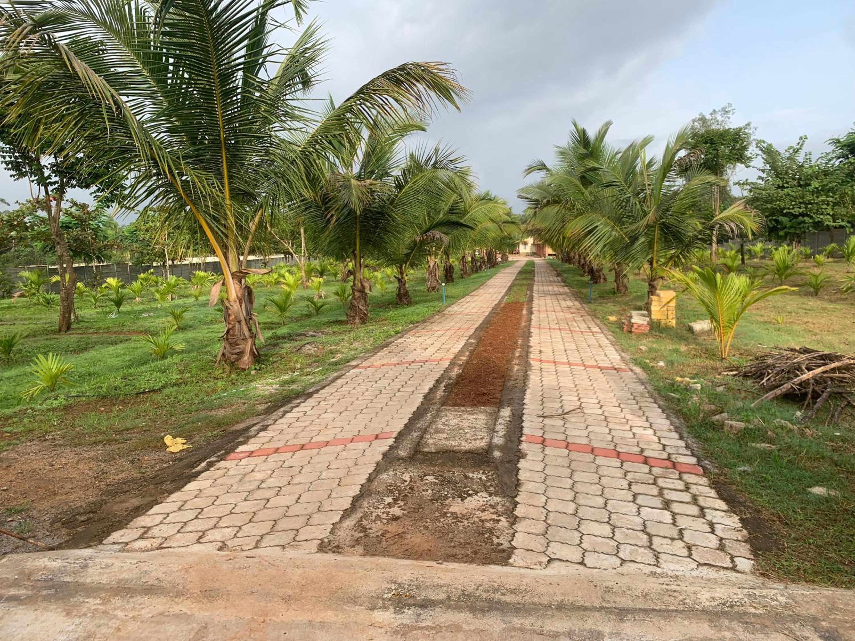 Eden Garden - An Exquisite Home Stay view 4