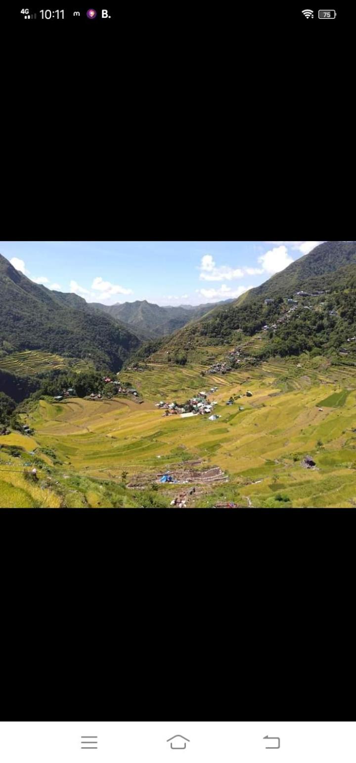 Batad Village Homestay & Restaurant view 3