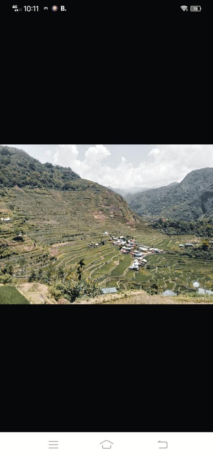 Batad Village Homestay & Restaurant view 4