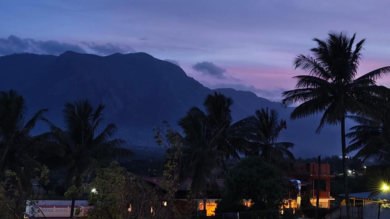 Alappat Lodge Masinagudi view 3