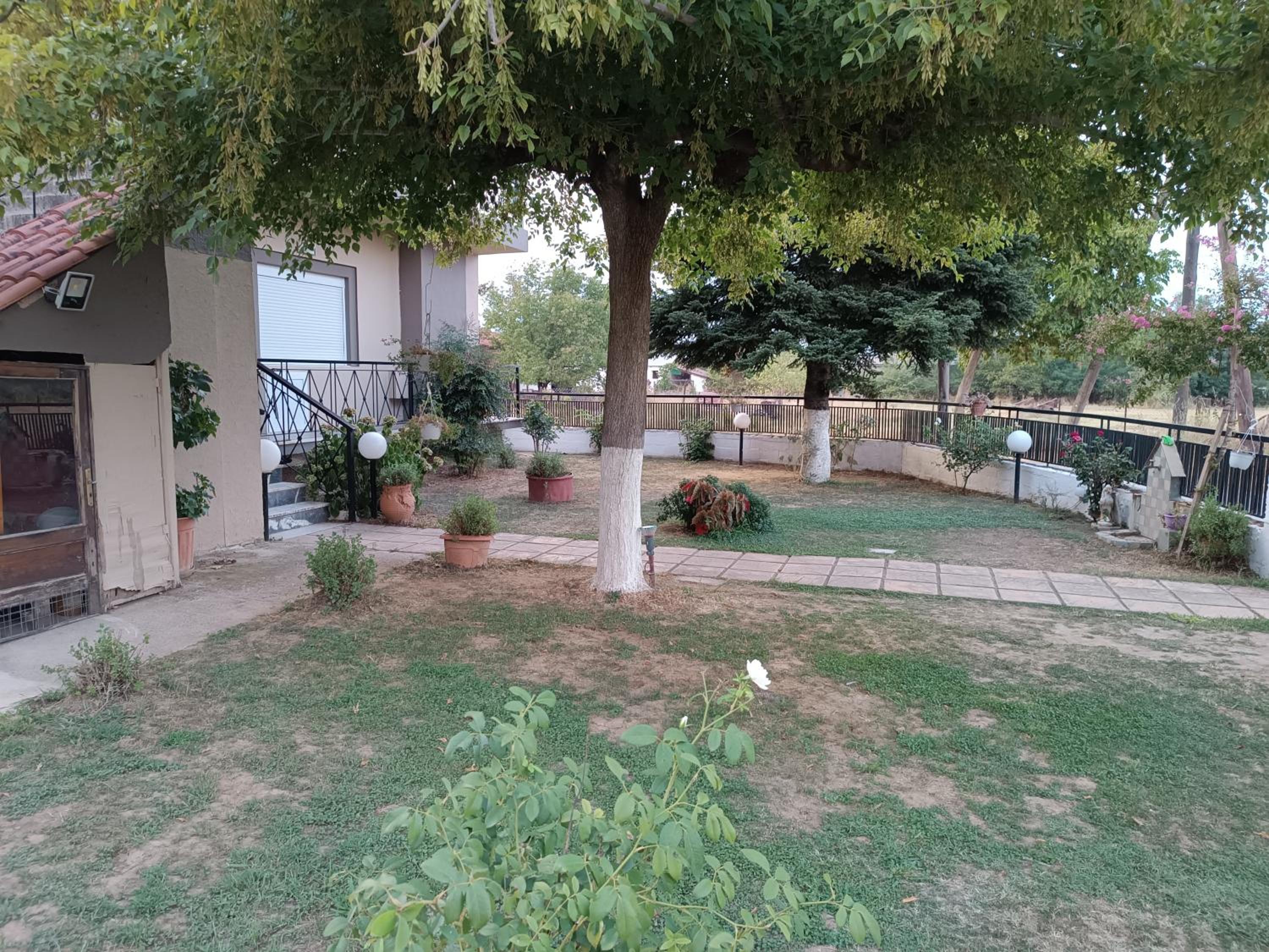 Photo 42