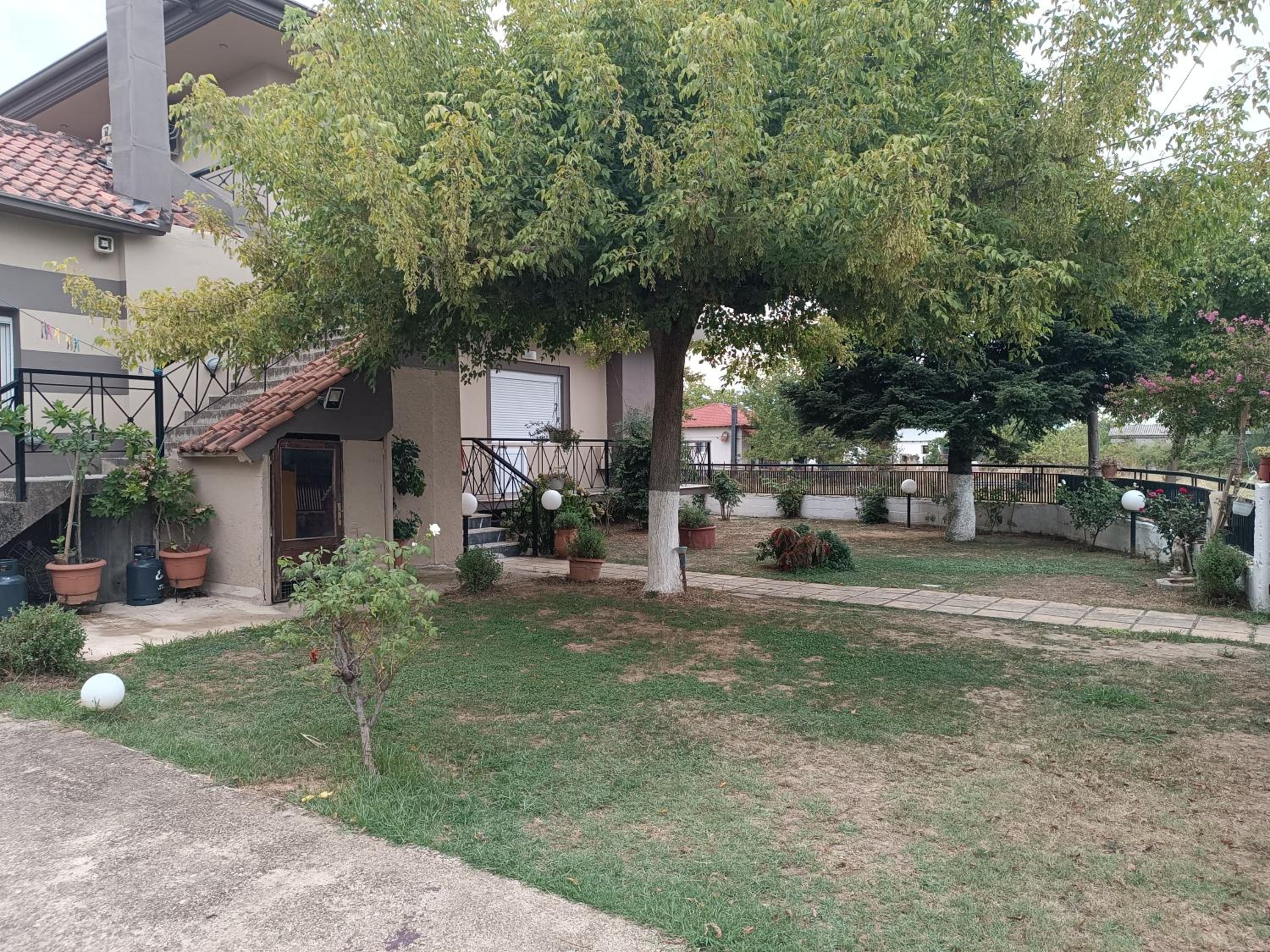 Photo 43