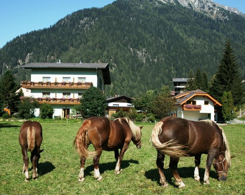 Pension Jägerhof