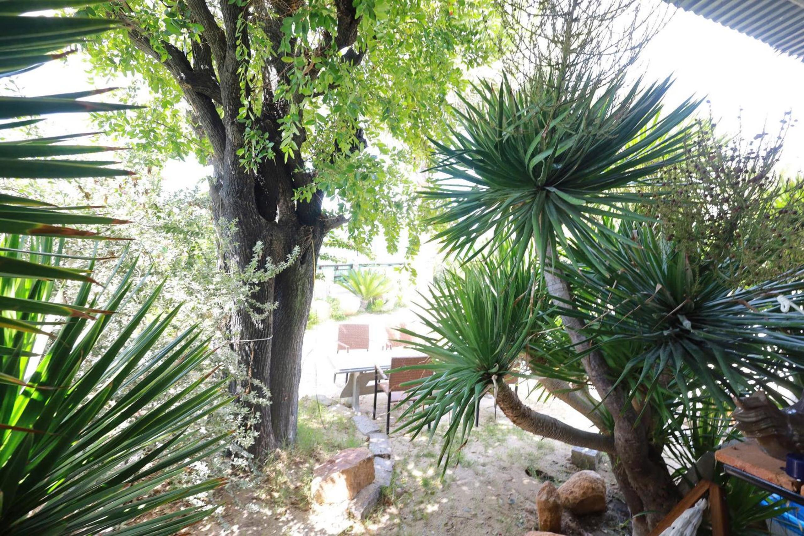 Hành Ngò Homestay - Hòn Đỏ Ninh Thuận