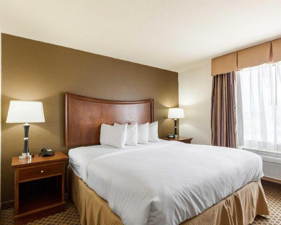 Quality Suites