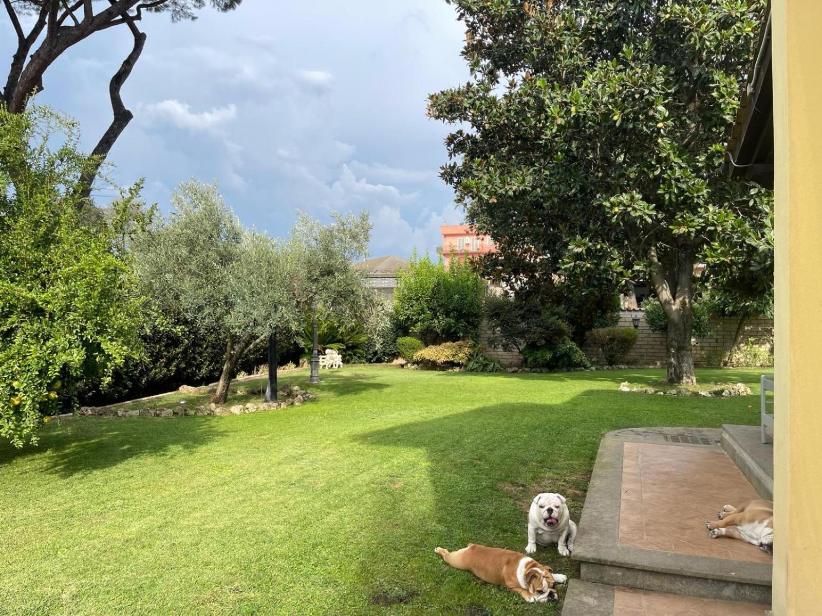 Paradise home